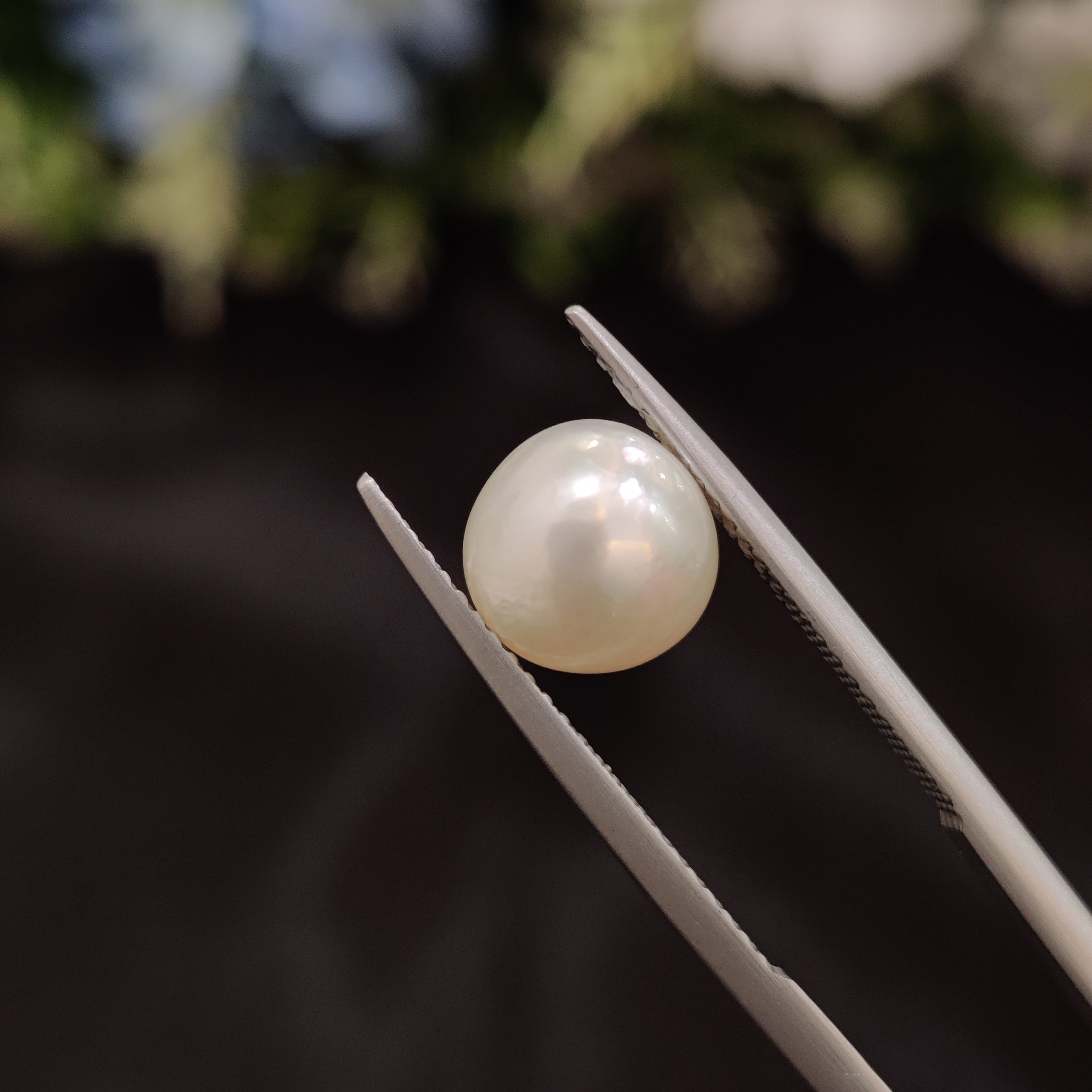 Pearl | Pearl 76 | 4.05 Carat