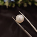 Pearl | Pearl 97 | 6.4 Carat