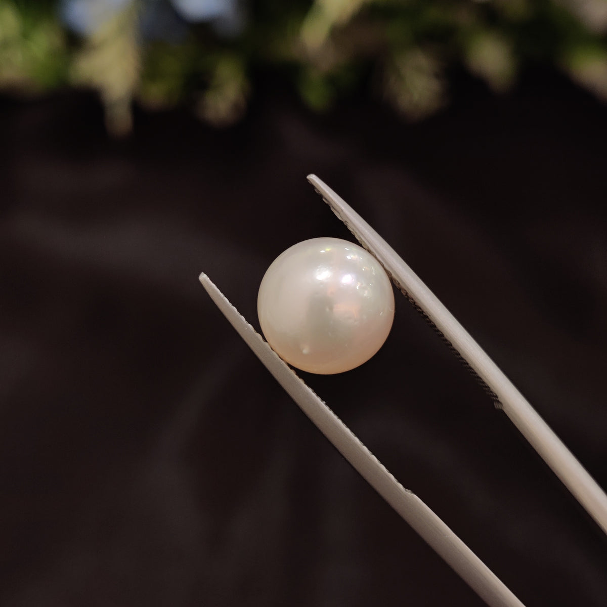 Natural Pearl (Moti) | Pearl 97 | 6.4 Carat | Certified