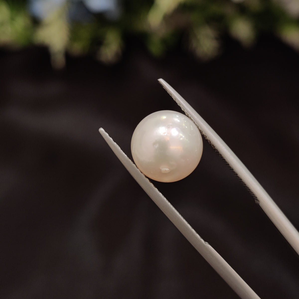 Natural Pearl (Moti) | Pearl 97 | 6.4 Carat | Certified