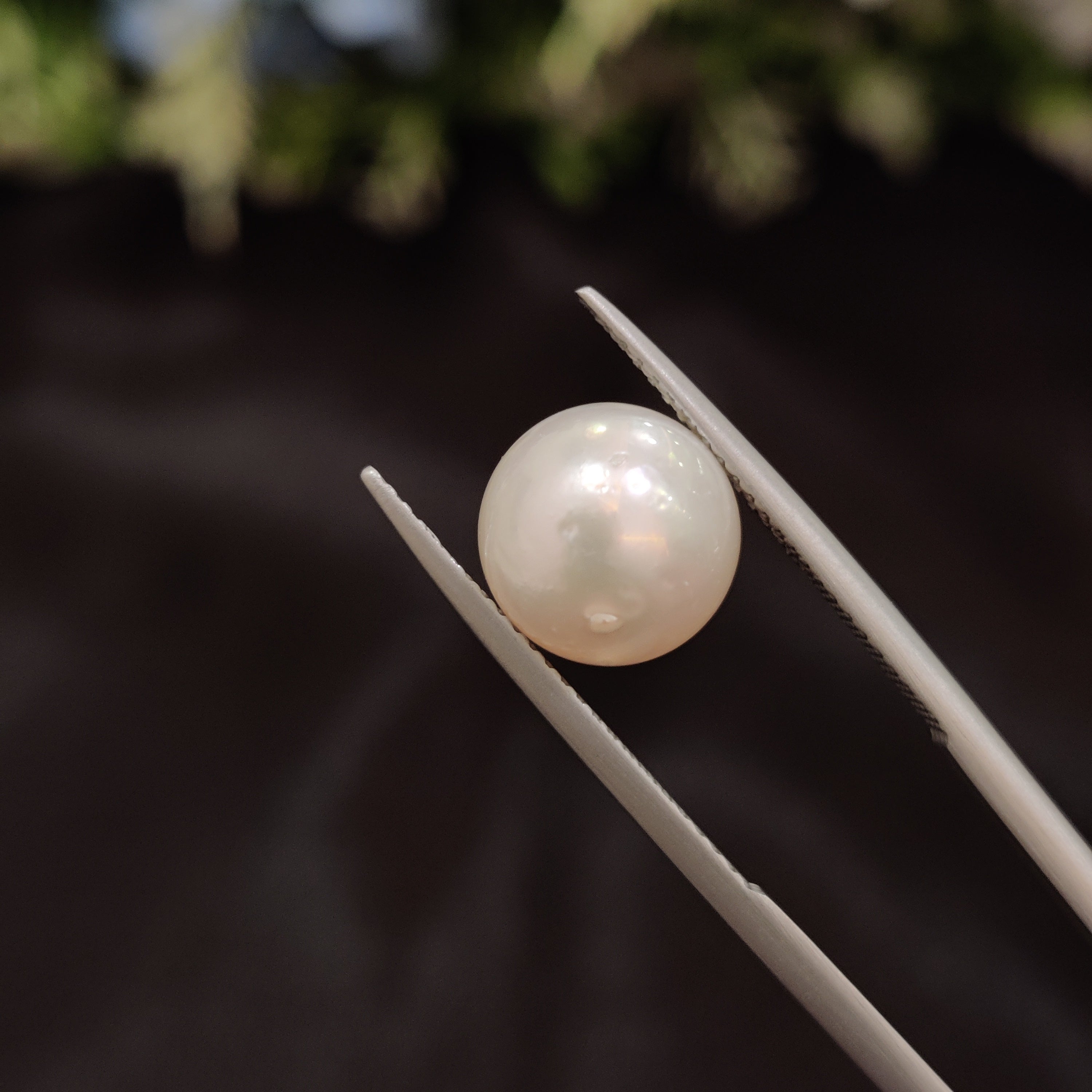 Pearl | Pearl 97 | 6.4 Carat