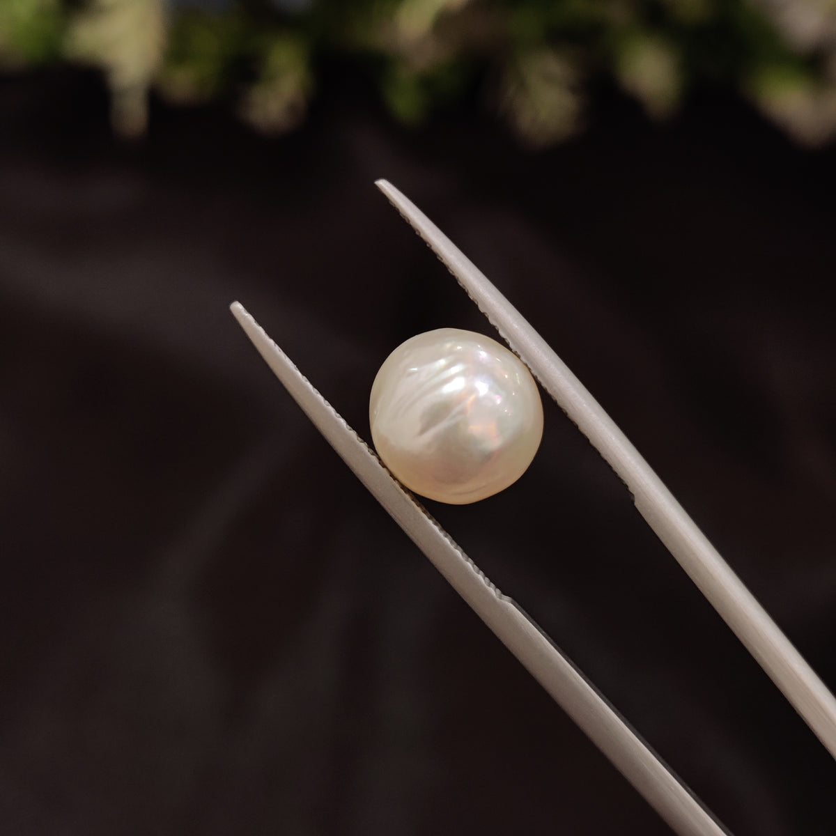 Natural Pearl (Moti) | Pearl 53 | 5.18 Carat | Certified