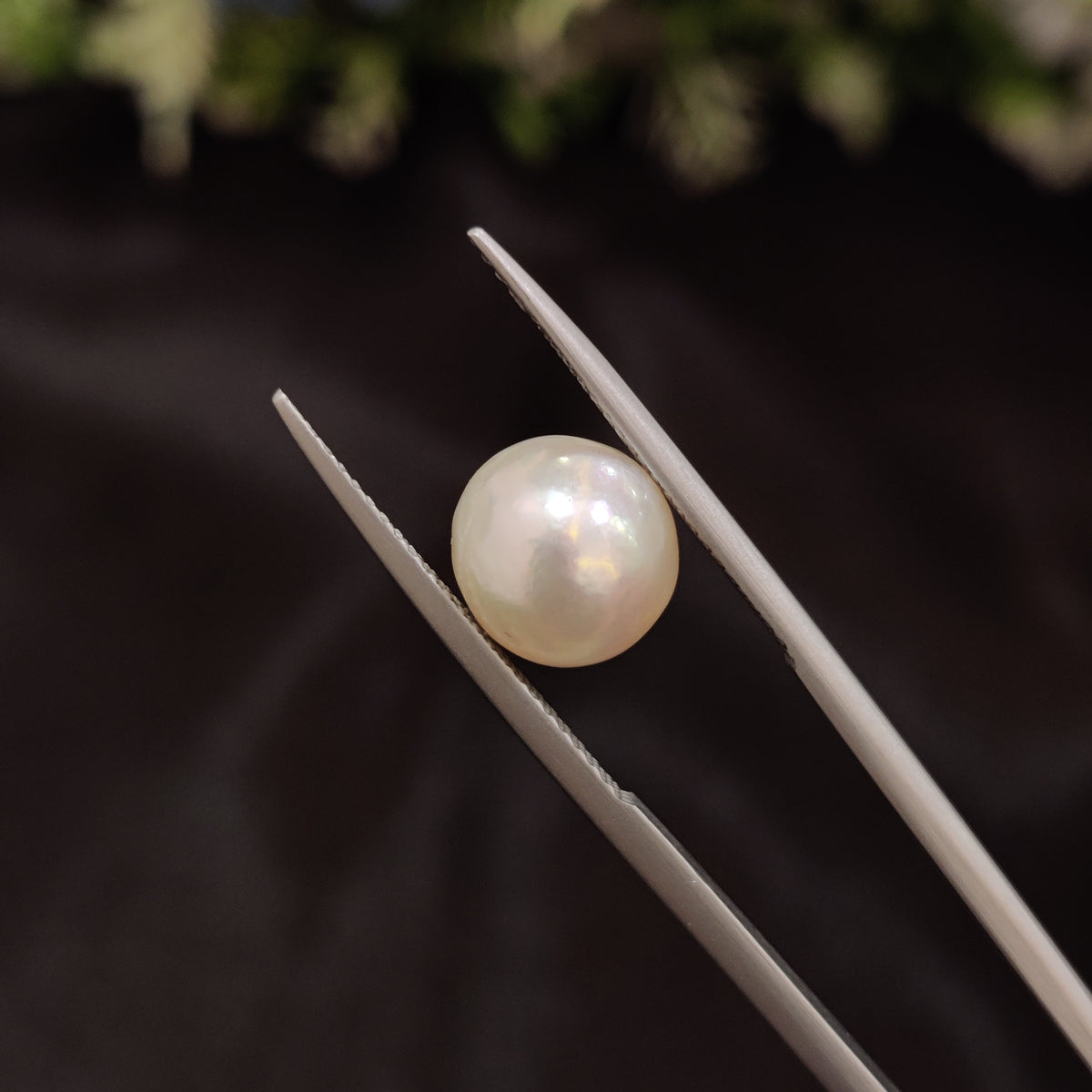 Natural Pearl (Moti) | Pearl 53 | 5.18 Carat | Certified