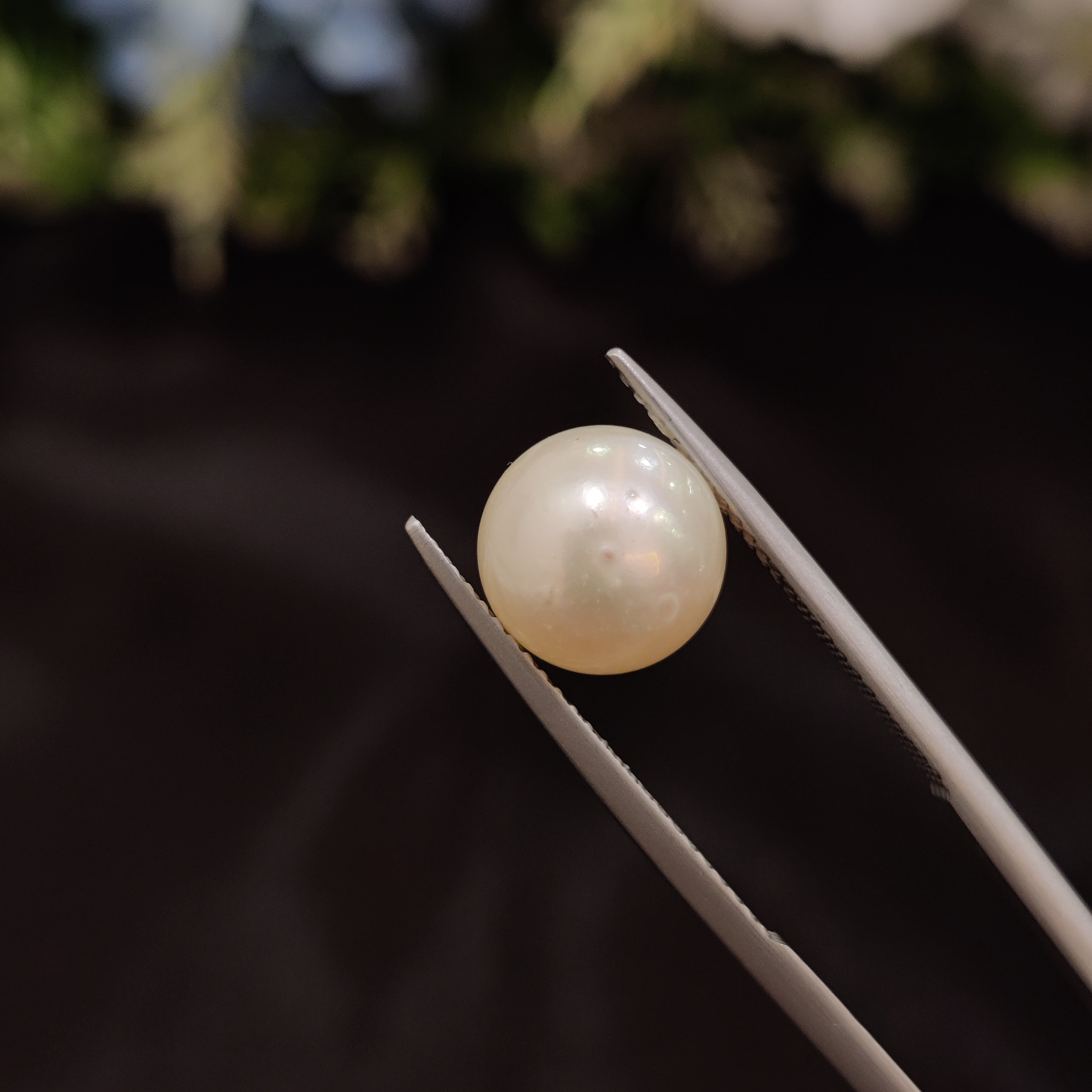 Pearl | Pearl 111 | 6.23 Carat