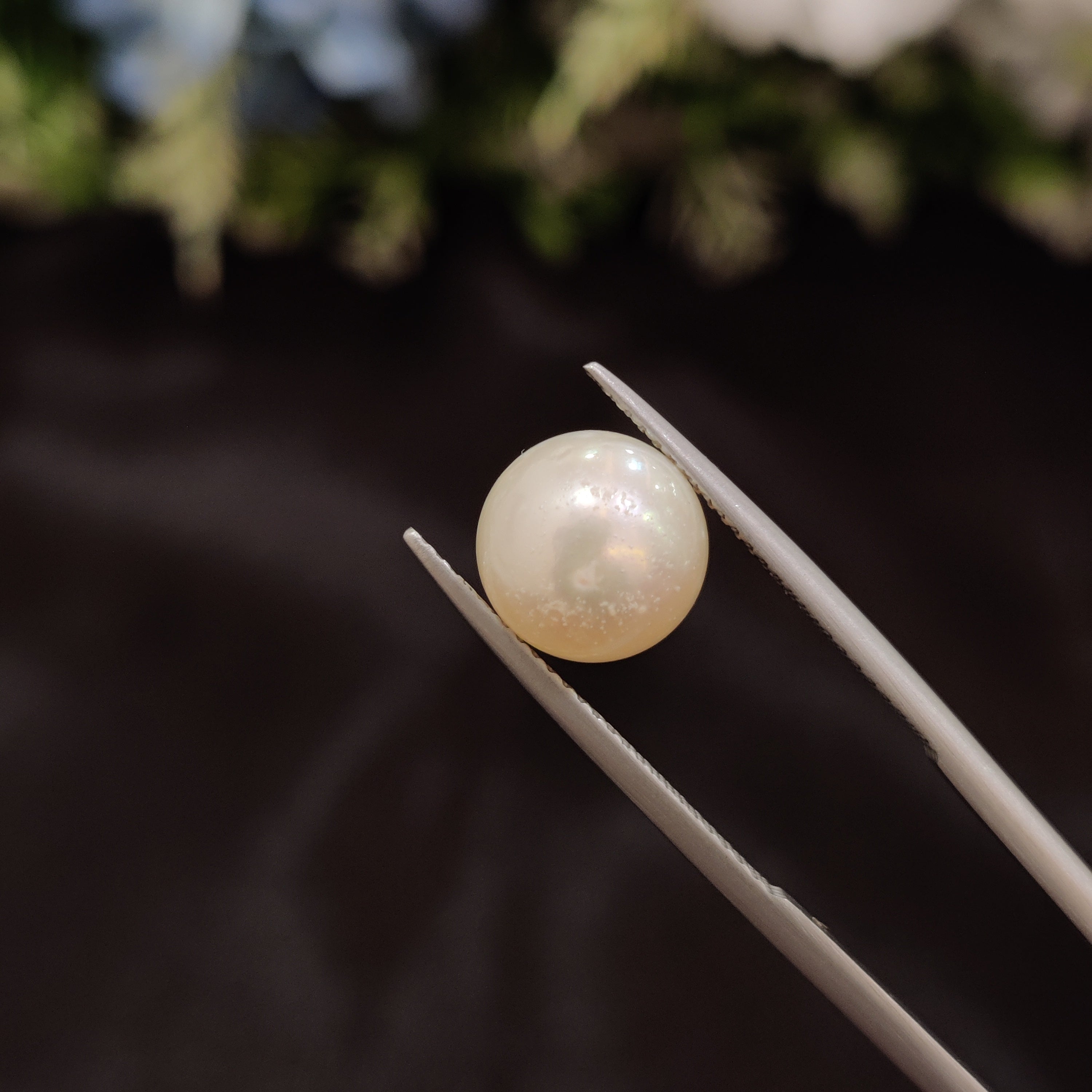 Pearl | Pearl 111 | 6.23 Carat