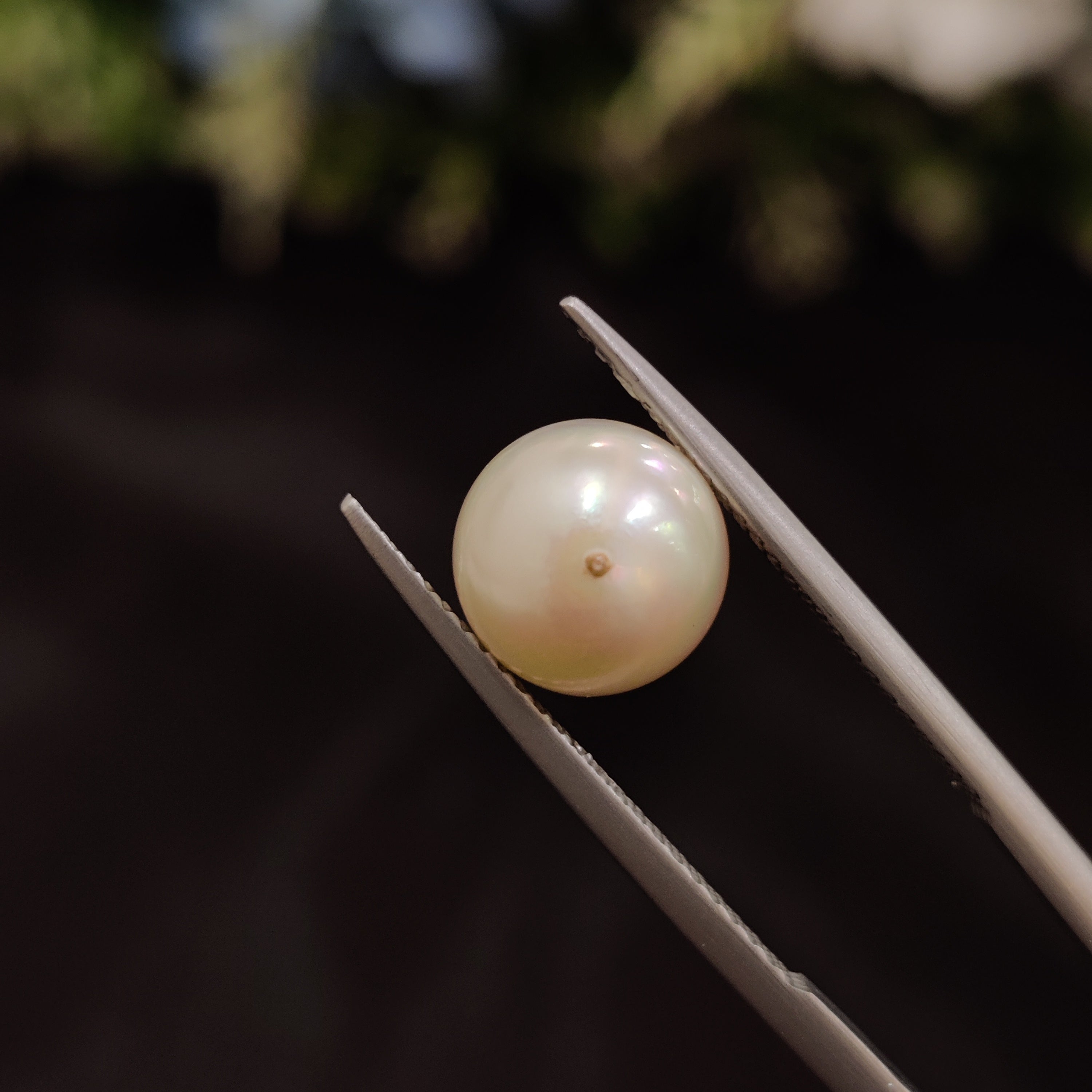 Pearl | Pearl 46 | 5.14 Carat