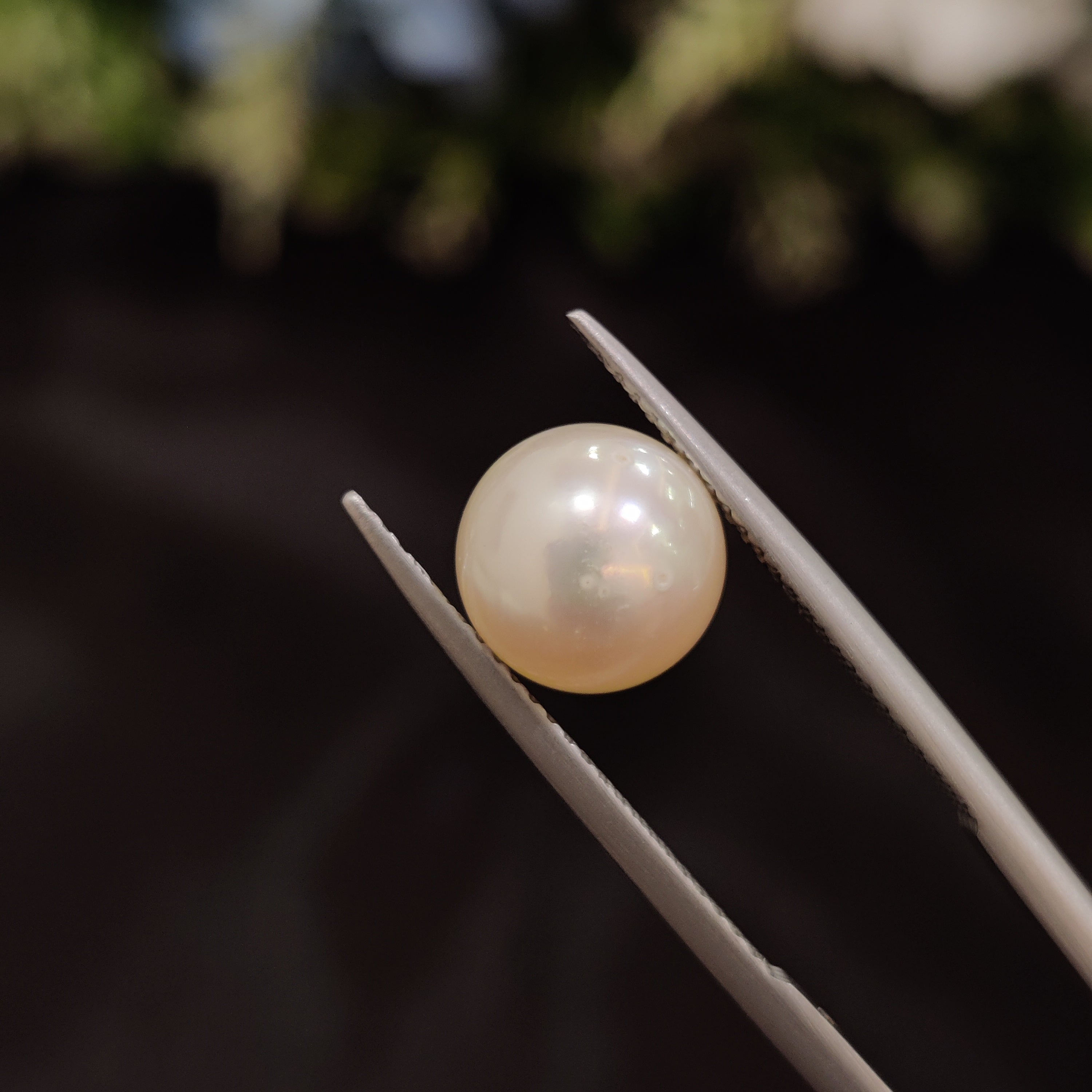 Pearl | Pearl 46 | 5.14 Carat