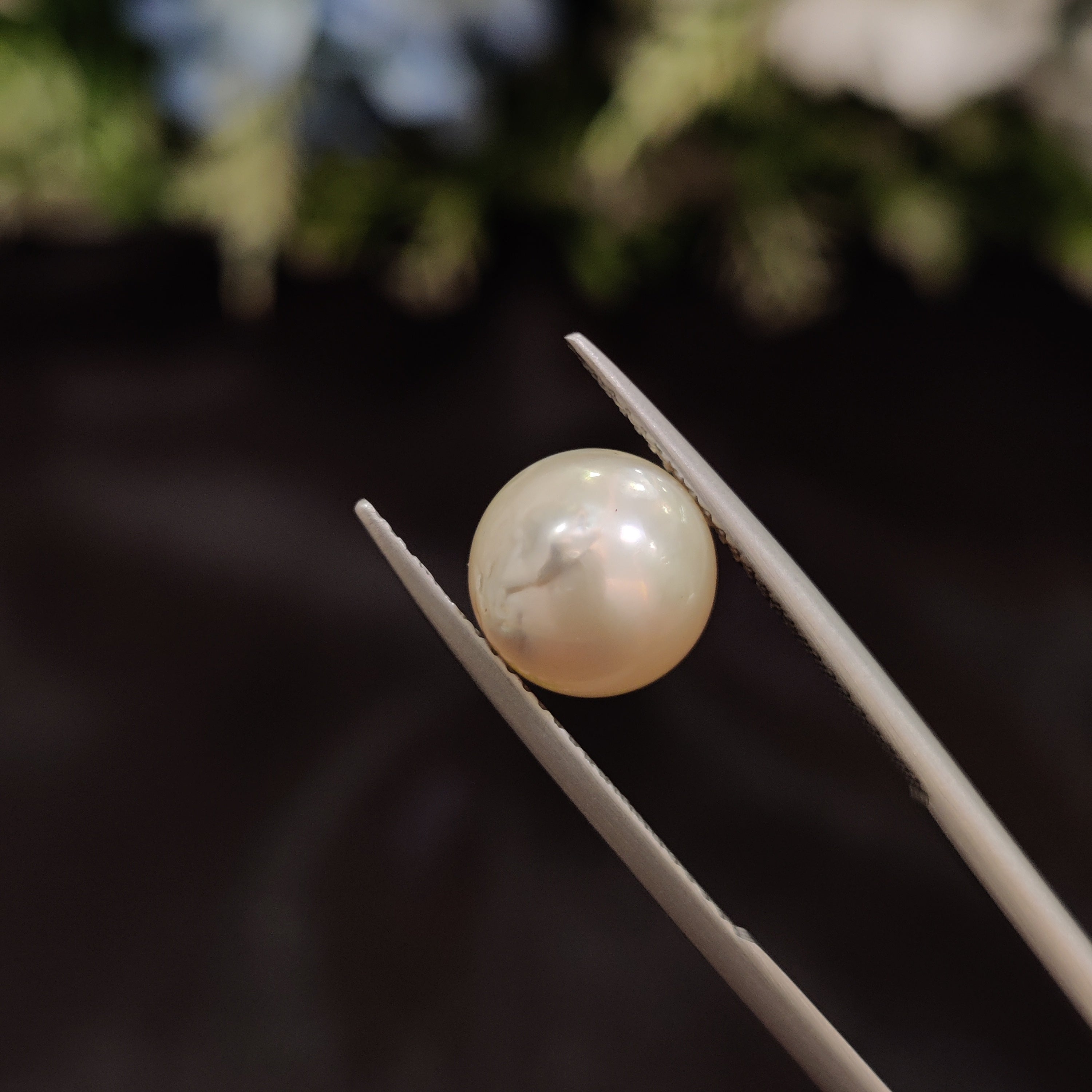 Pearl | Pearl 102 | 5.18 Carat