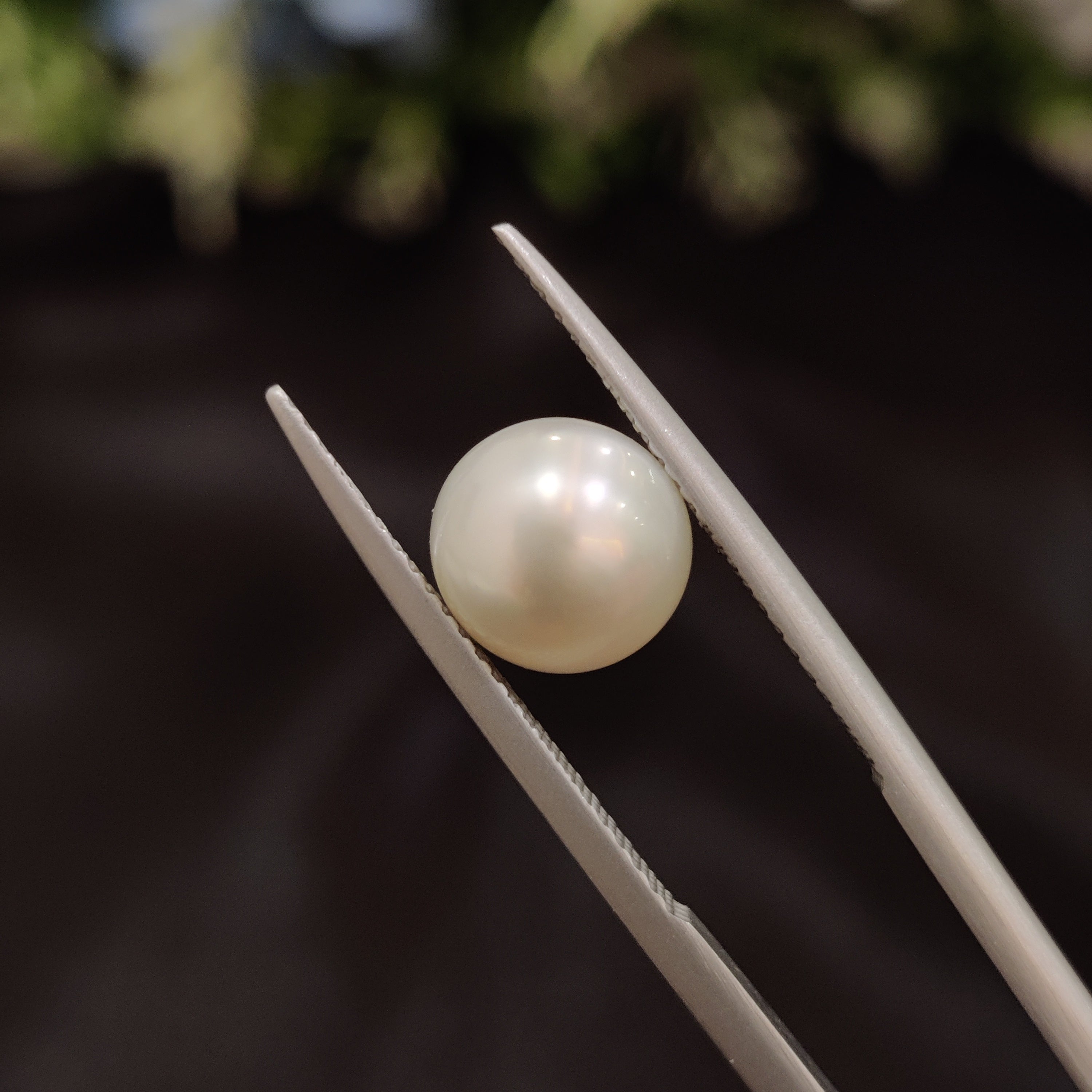 Pearl | Pearl 81 | 3.71 Carat