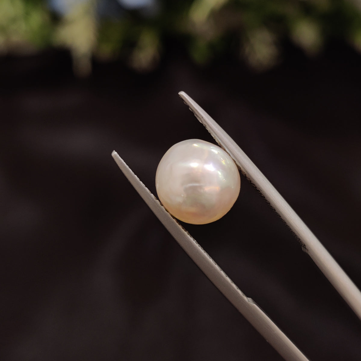 Natural Pearl (Moti) | Pearl 80 | 4.58 Carat | Certified