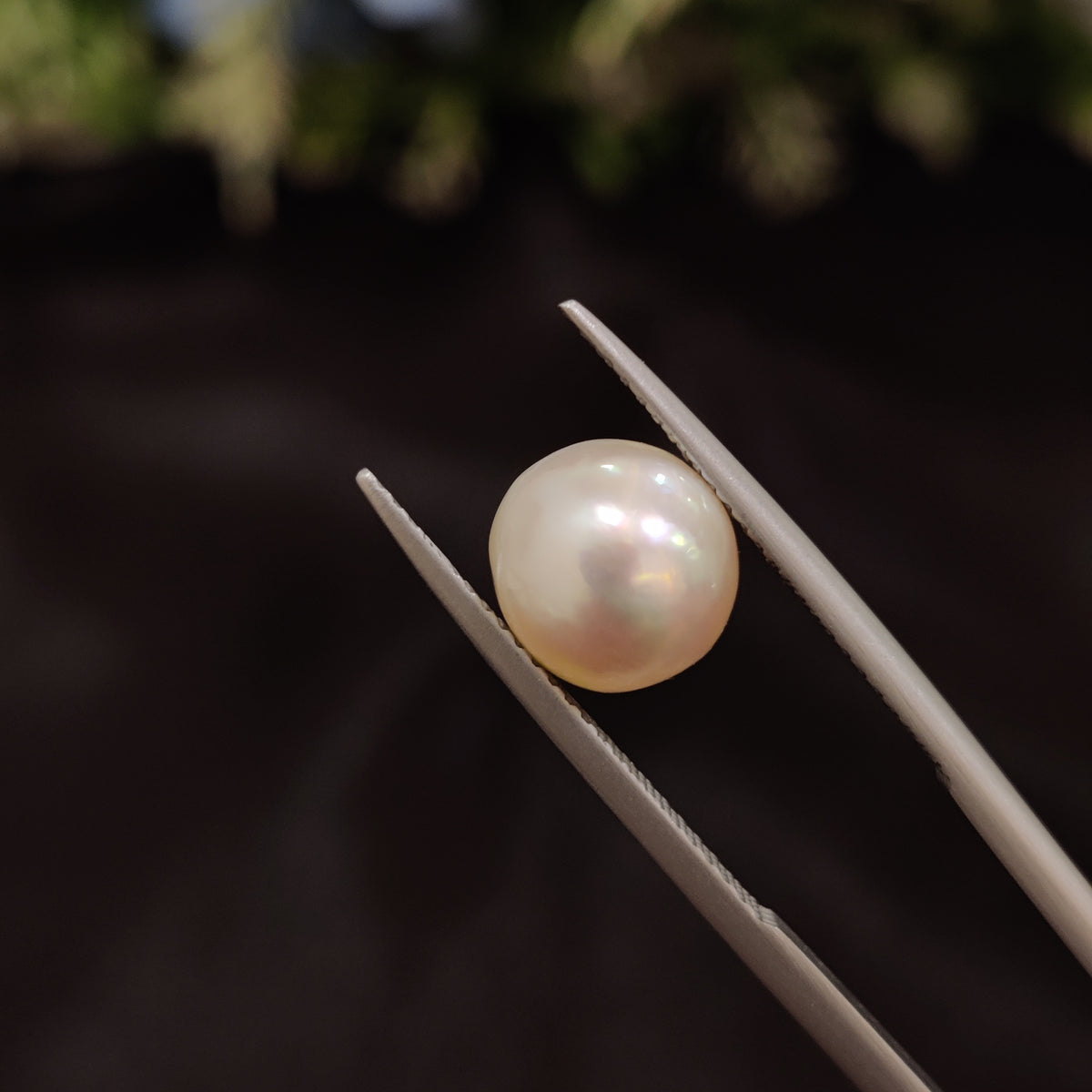 Natural Pearl (Moti) | Pearl 80 | 4.58 Carat | Certified
