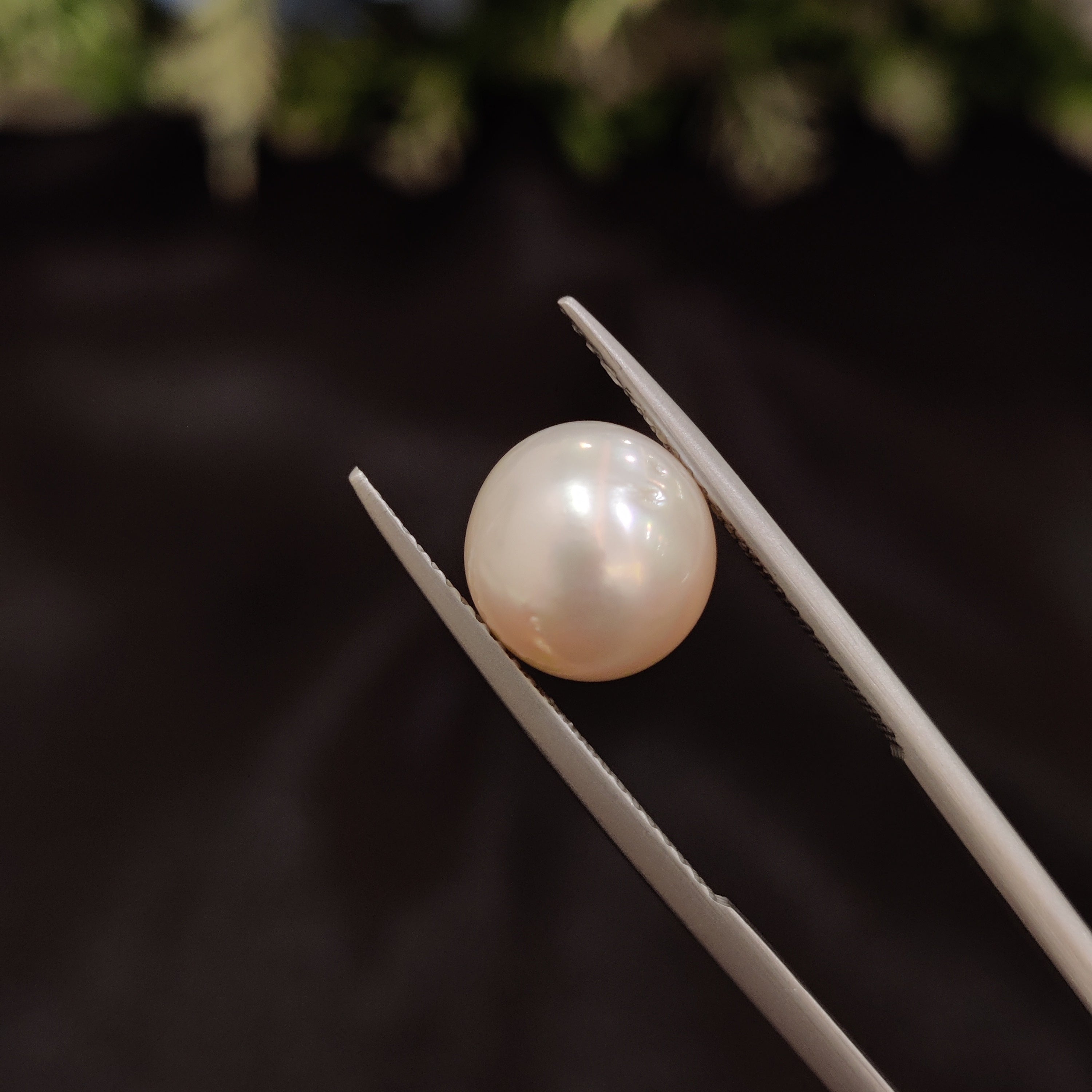 Pearl | Pearl 107 | 6.18 Carat