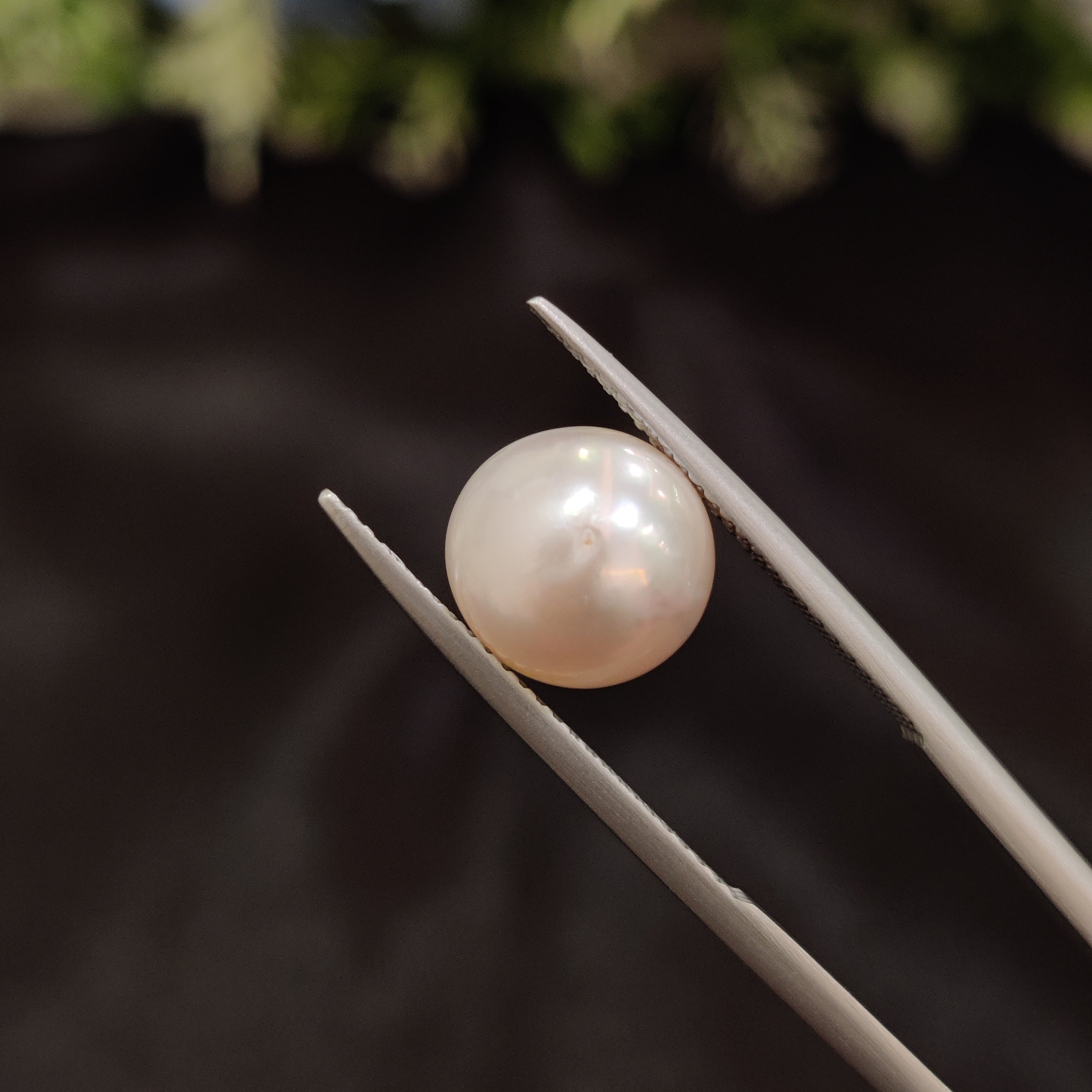 Pearl | Pearl 107 | 6.18 Carat