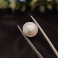 Pearl | Pearl 104 | 5.83 Carat