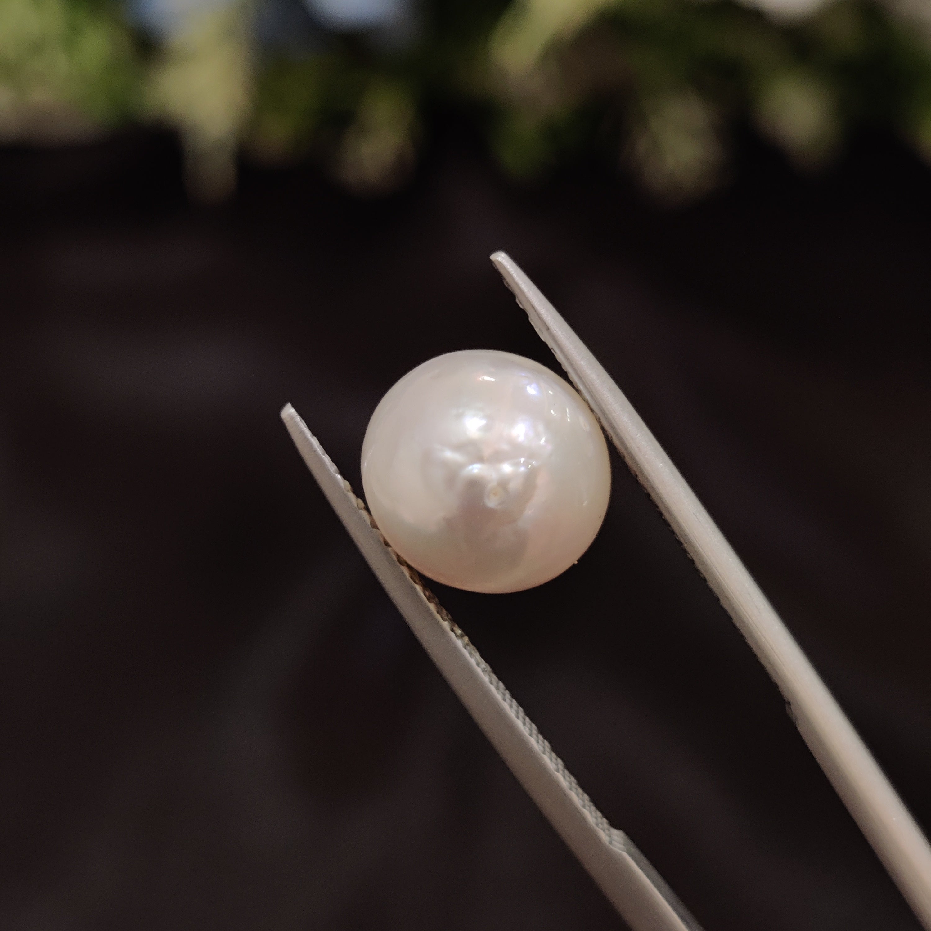 Pearl | Pearl 104 | 5.83 Carat
