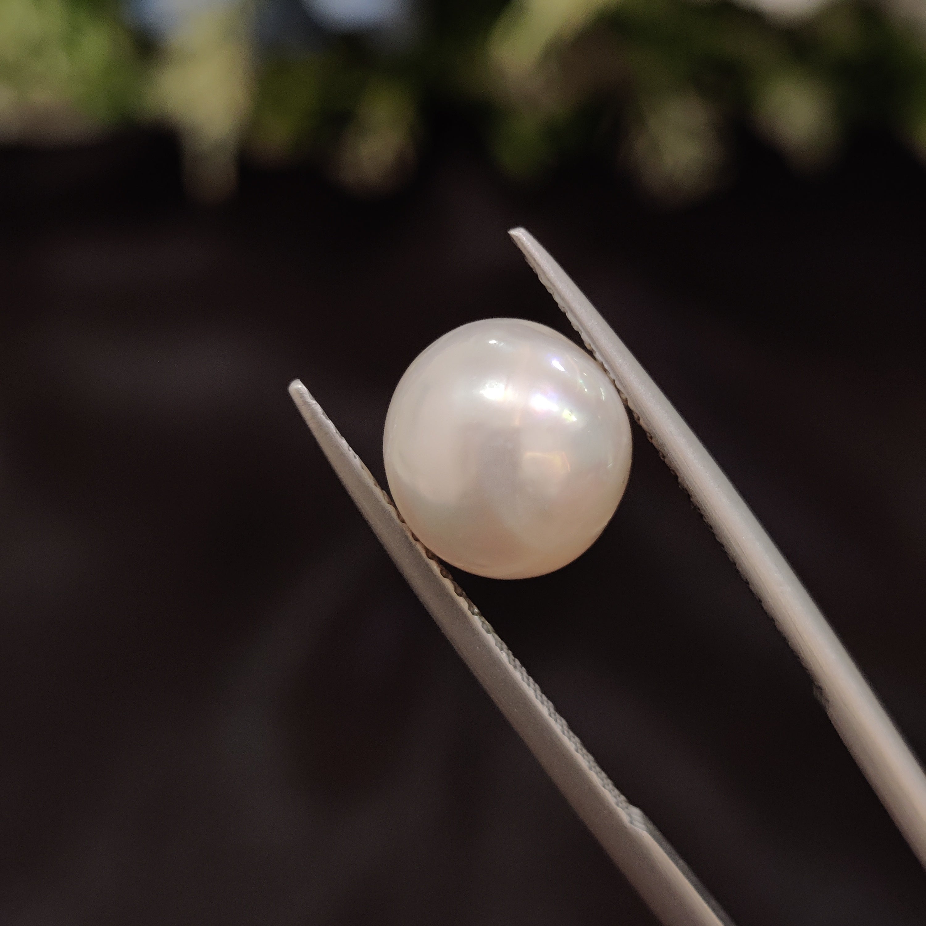 Pearl | Pearl 104 | 5.83 Carat
