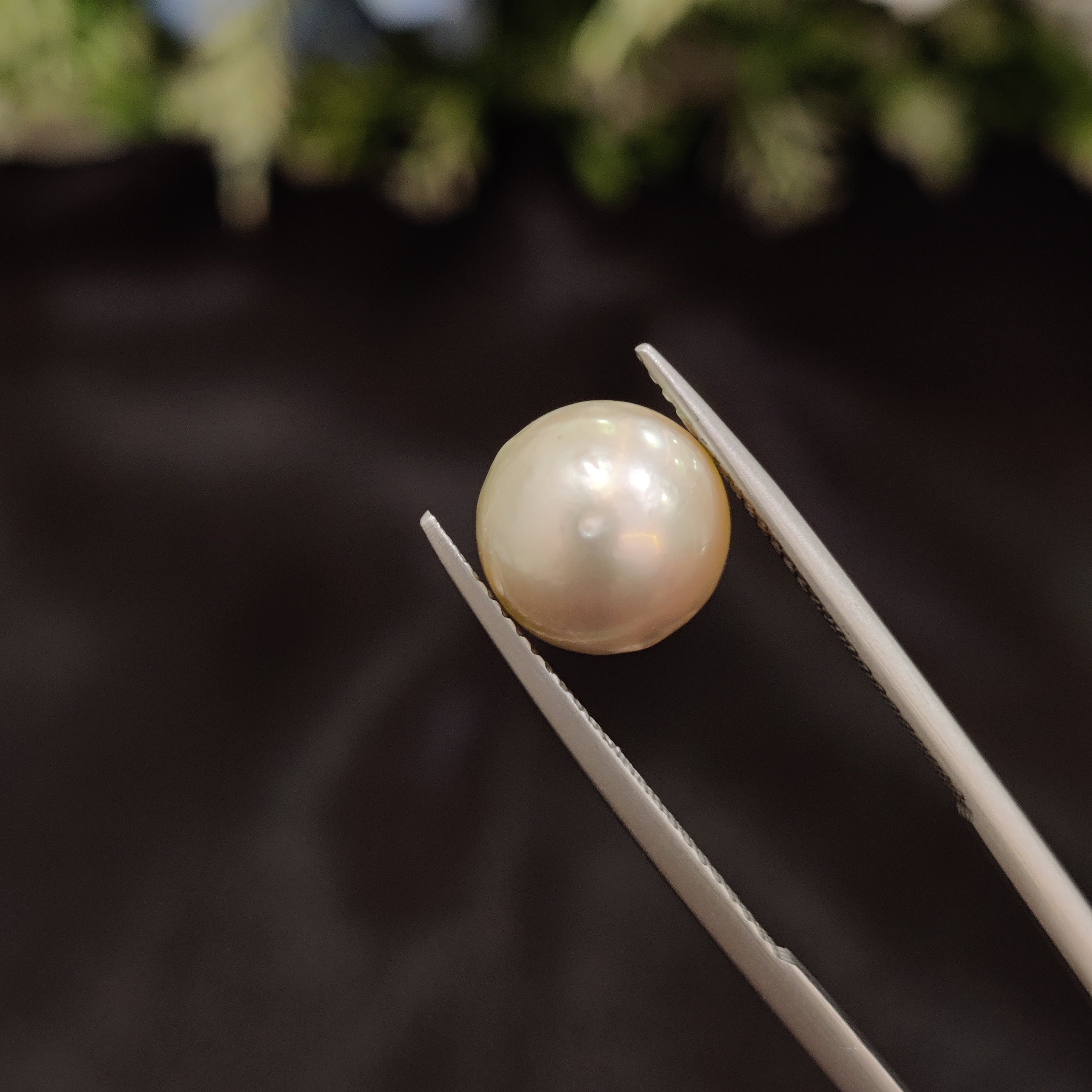 Pearl | Pearl 117 | 5.97 Carat