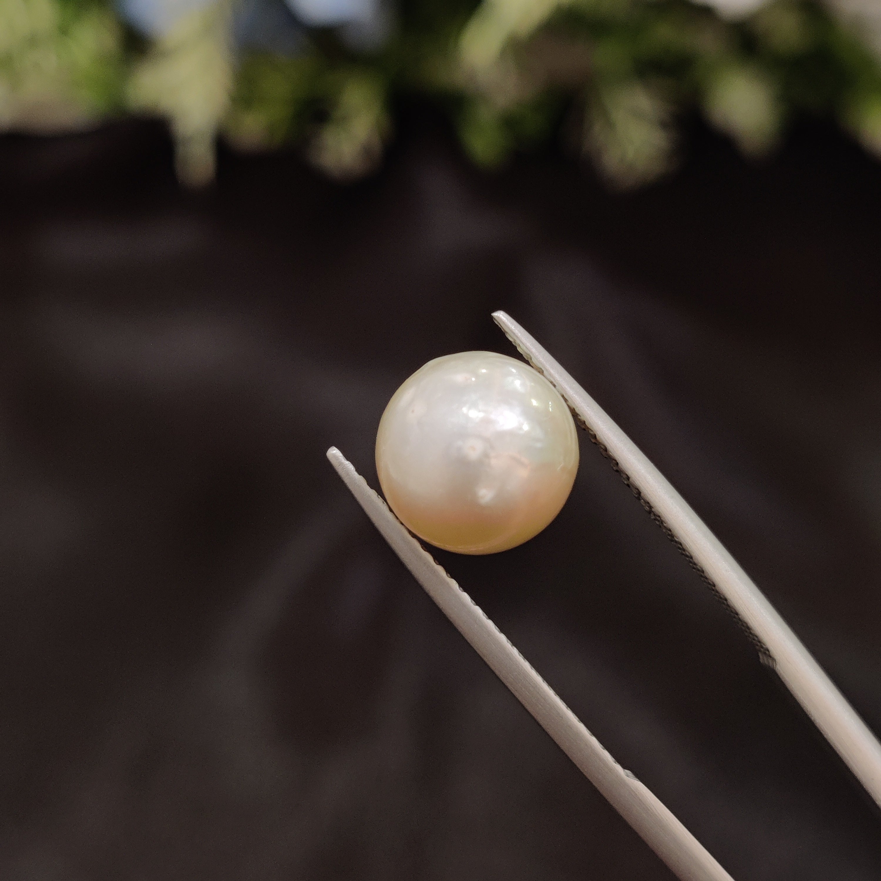 Pearl | Pearl 117 | 5.97 Carat