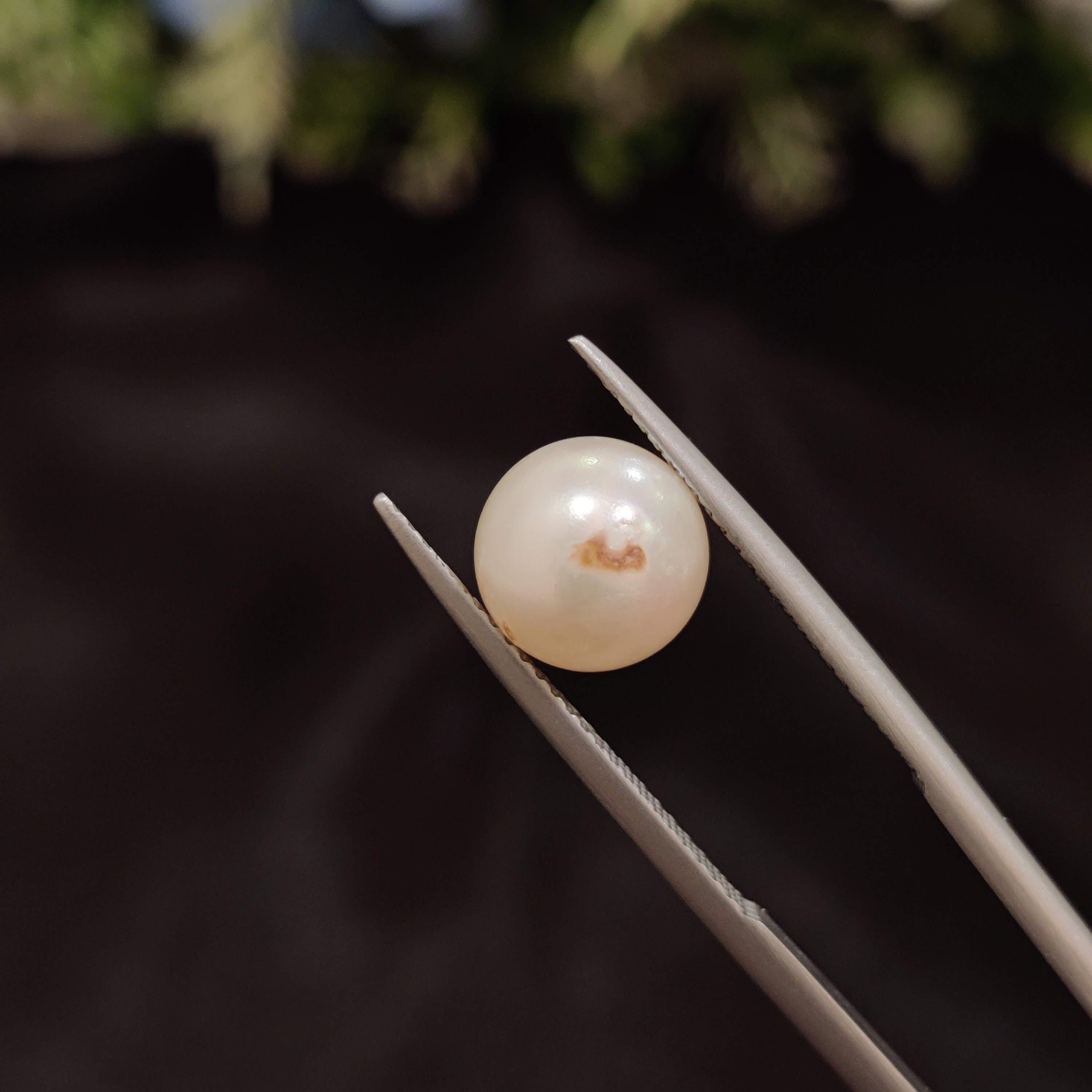 Pearl | Pearl 59 | 4.92 Carat