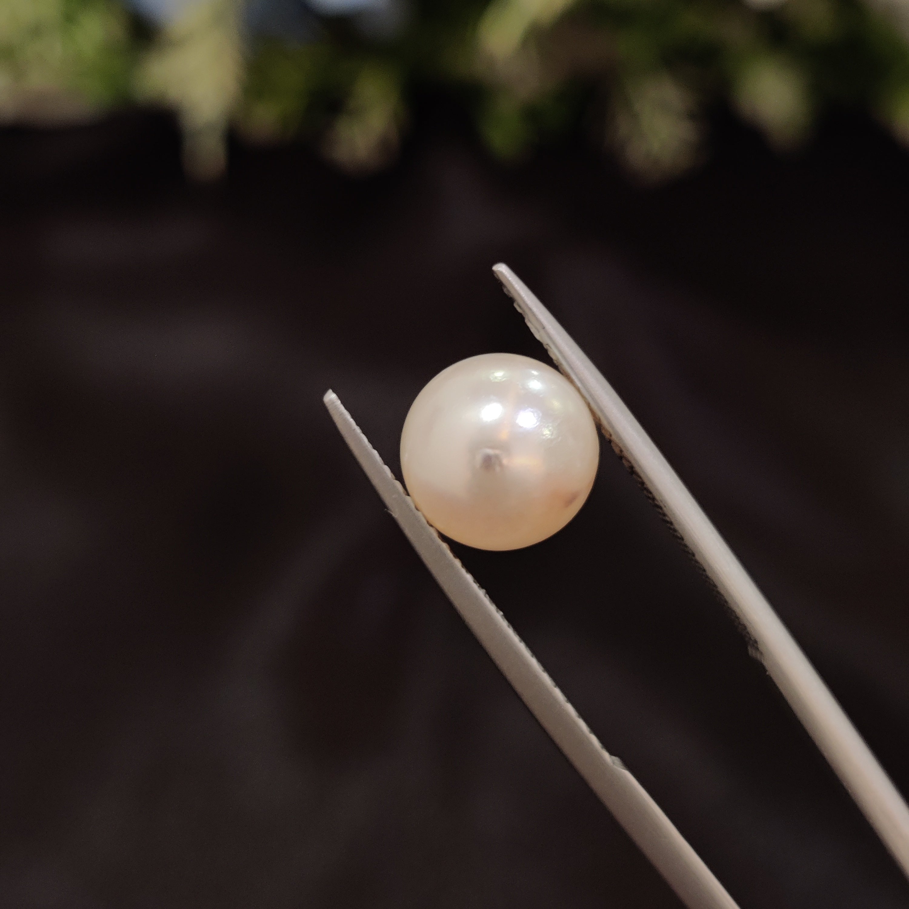 Pearl | Pearl 59 | 4.92 Carat