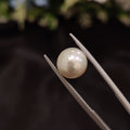 Pearl | Pearl 51 | 4.51 Carat