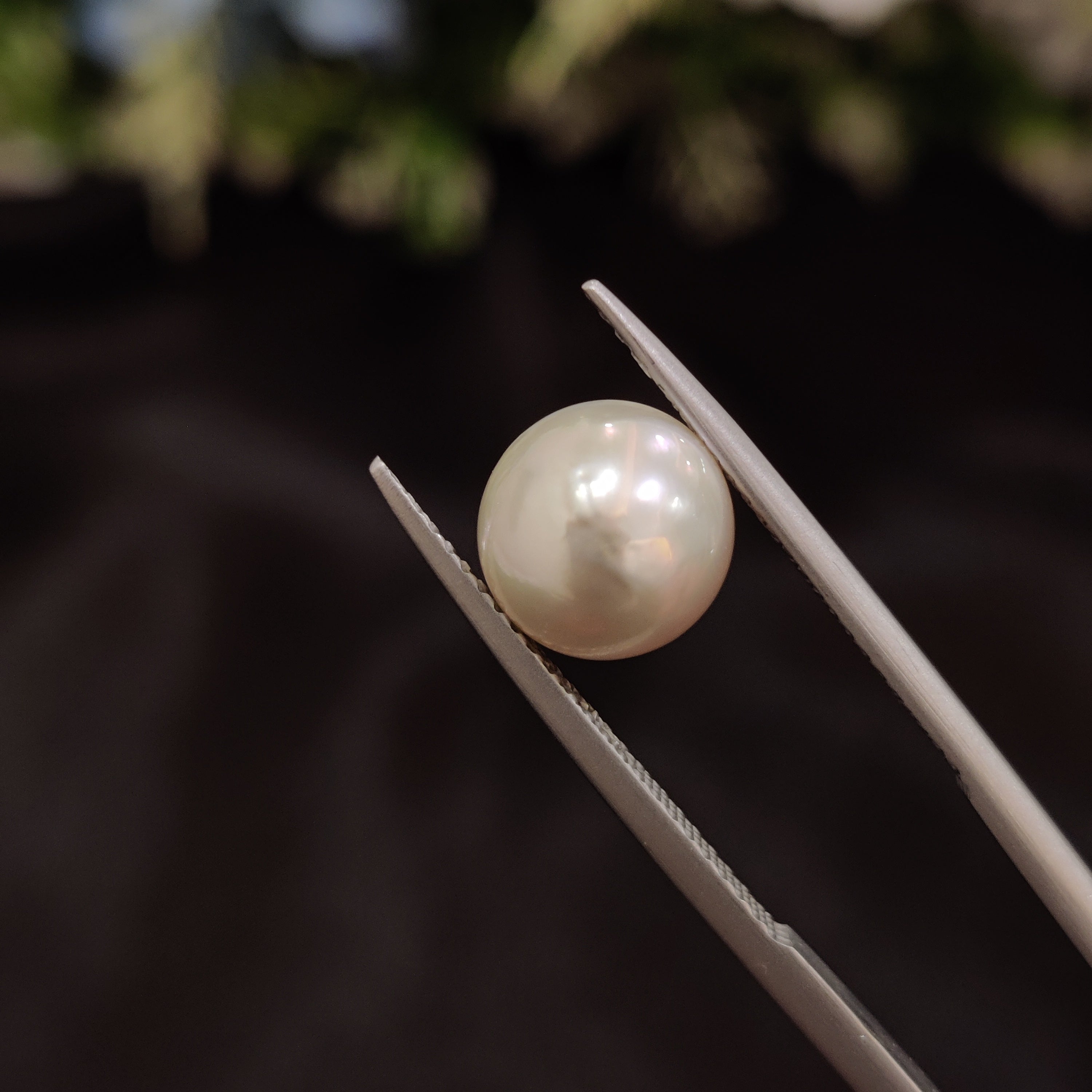 Pearl | Pearl 51 | 4.51 Carat