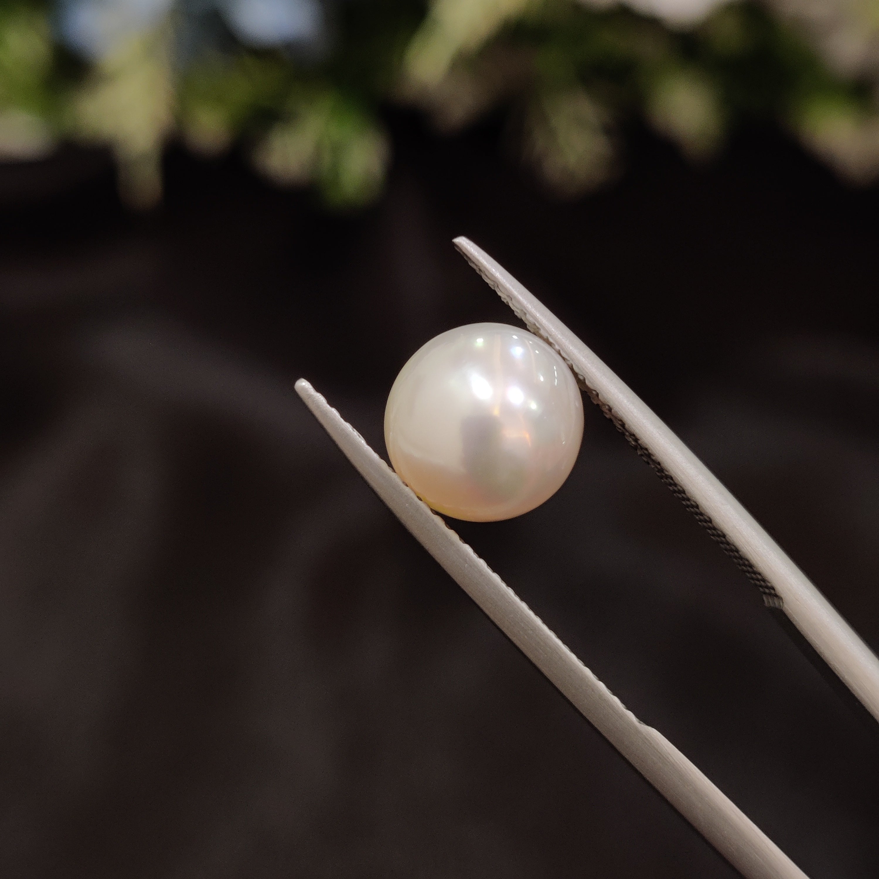 Pearl | Pearl 51 | 4.51 Carat
