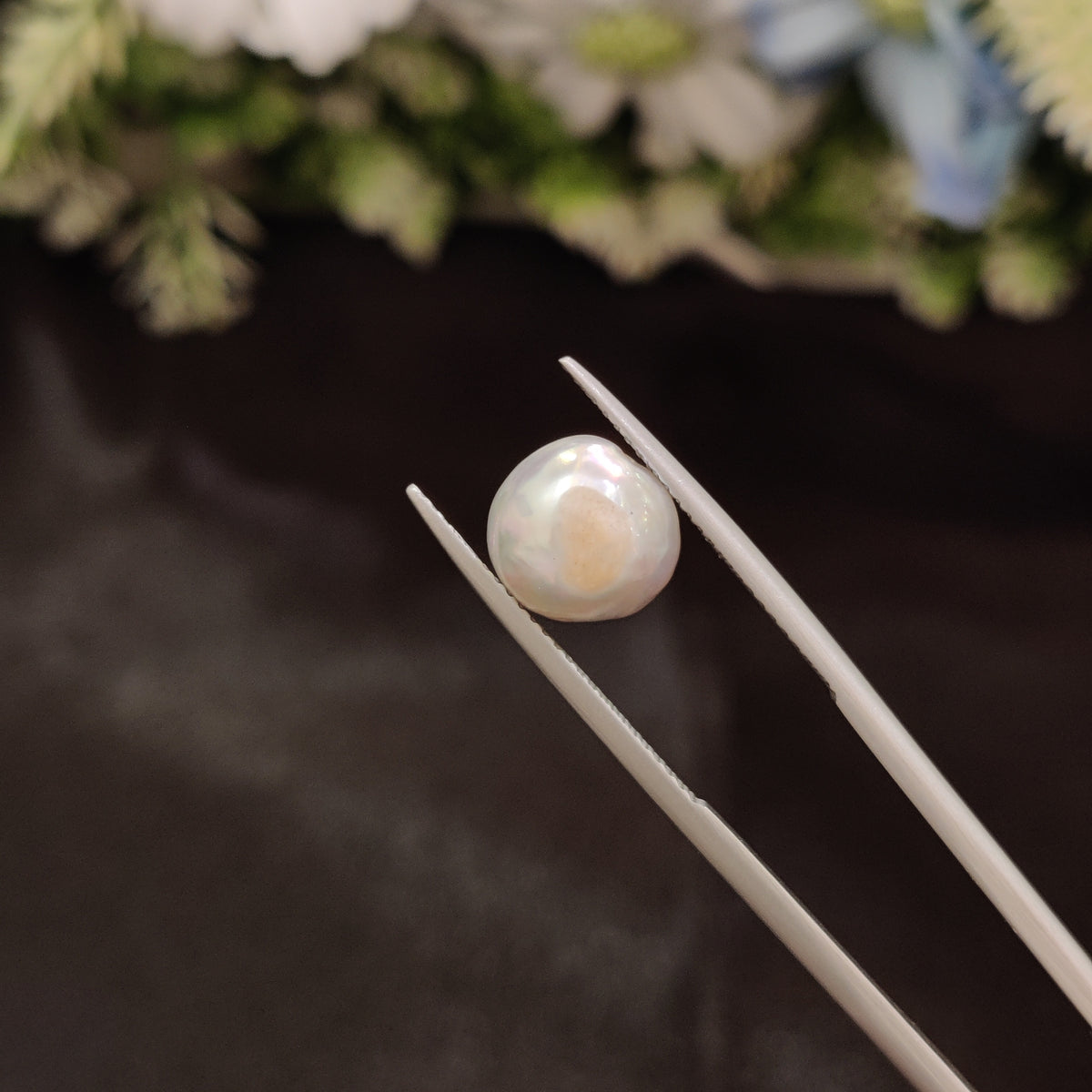 Natural Pearl (Moti) | Pearl 43 | 5.41 Carat | Certified