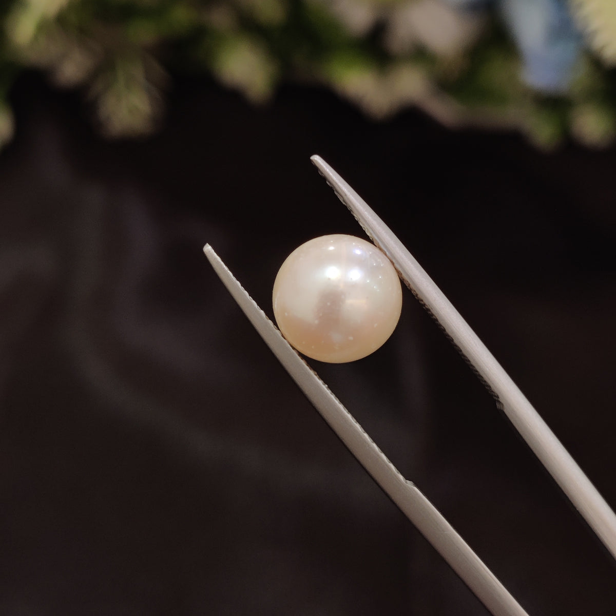 Natural Pearl (Moti) | Pearl 42 | 4.7 Carat | Certified