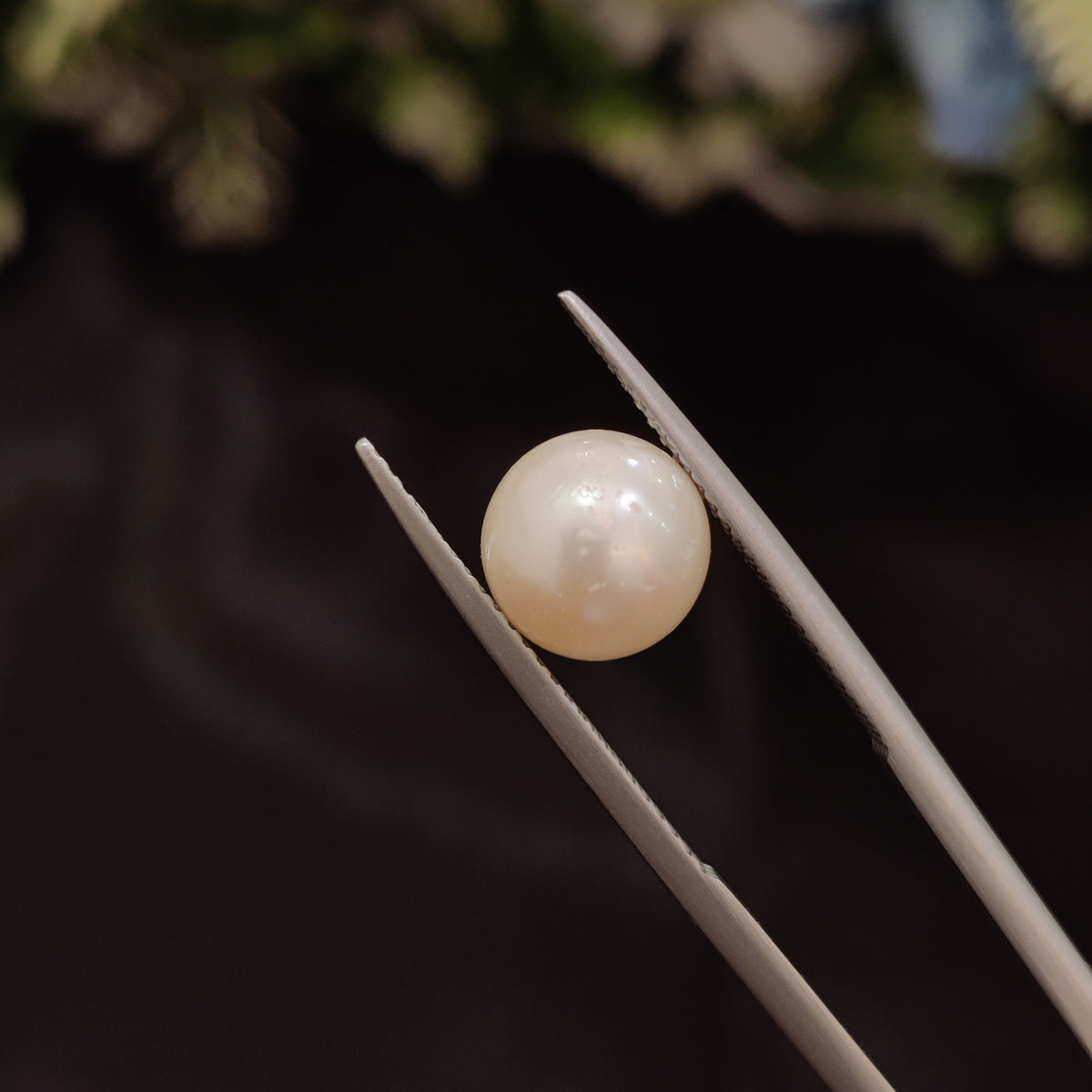 Natural Pearl (Moti) | Pearl 42 | 4.7 Carat | Certified