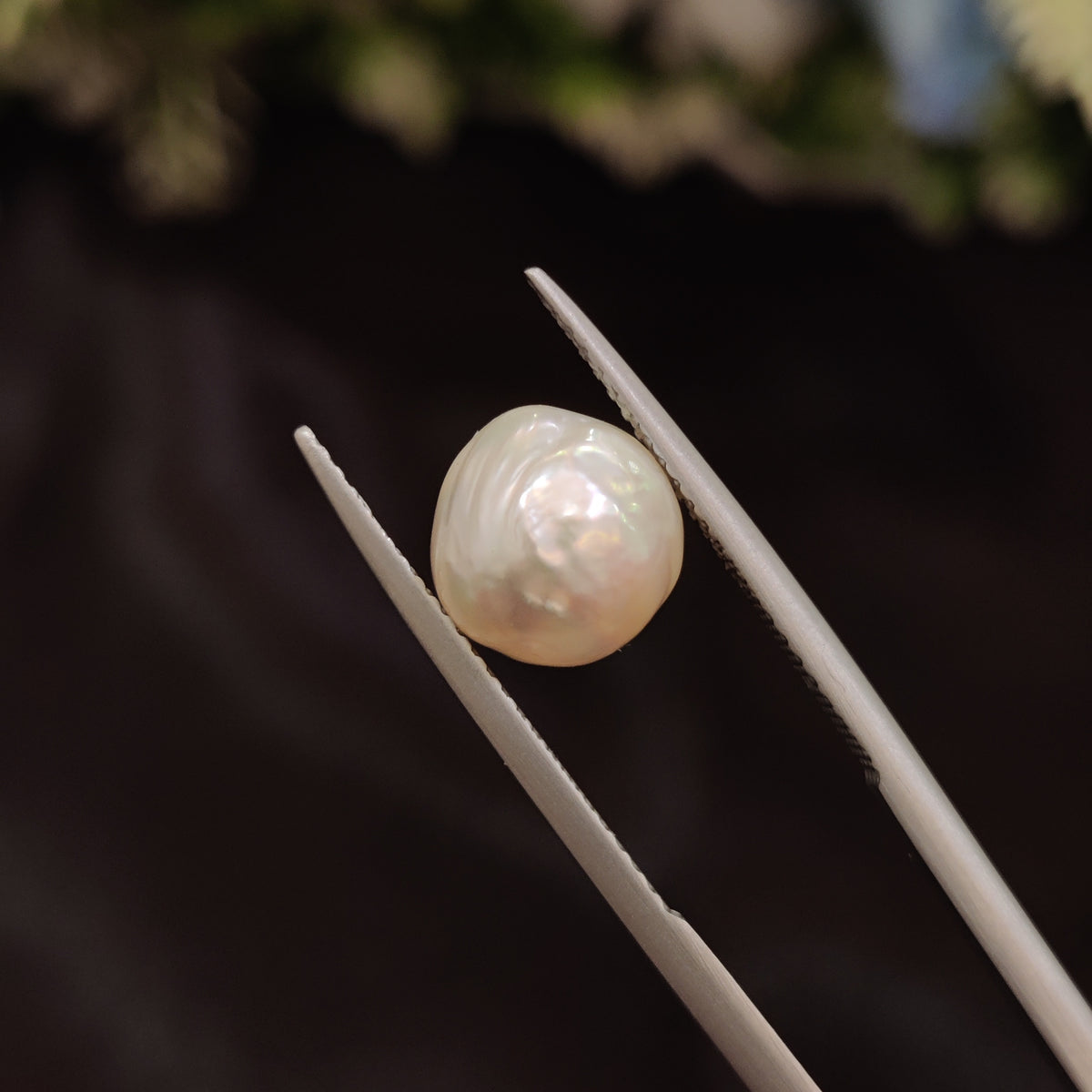 Natural Pearl (Moti) | Pearl 86 | 4.94 Carat | Certified