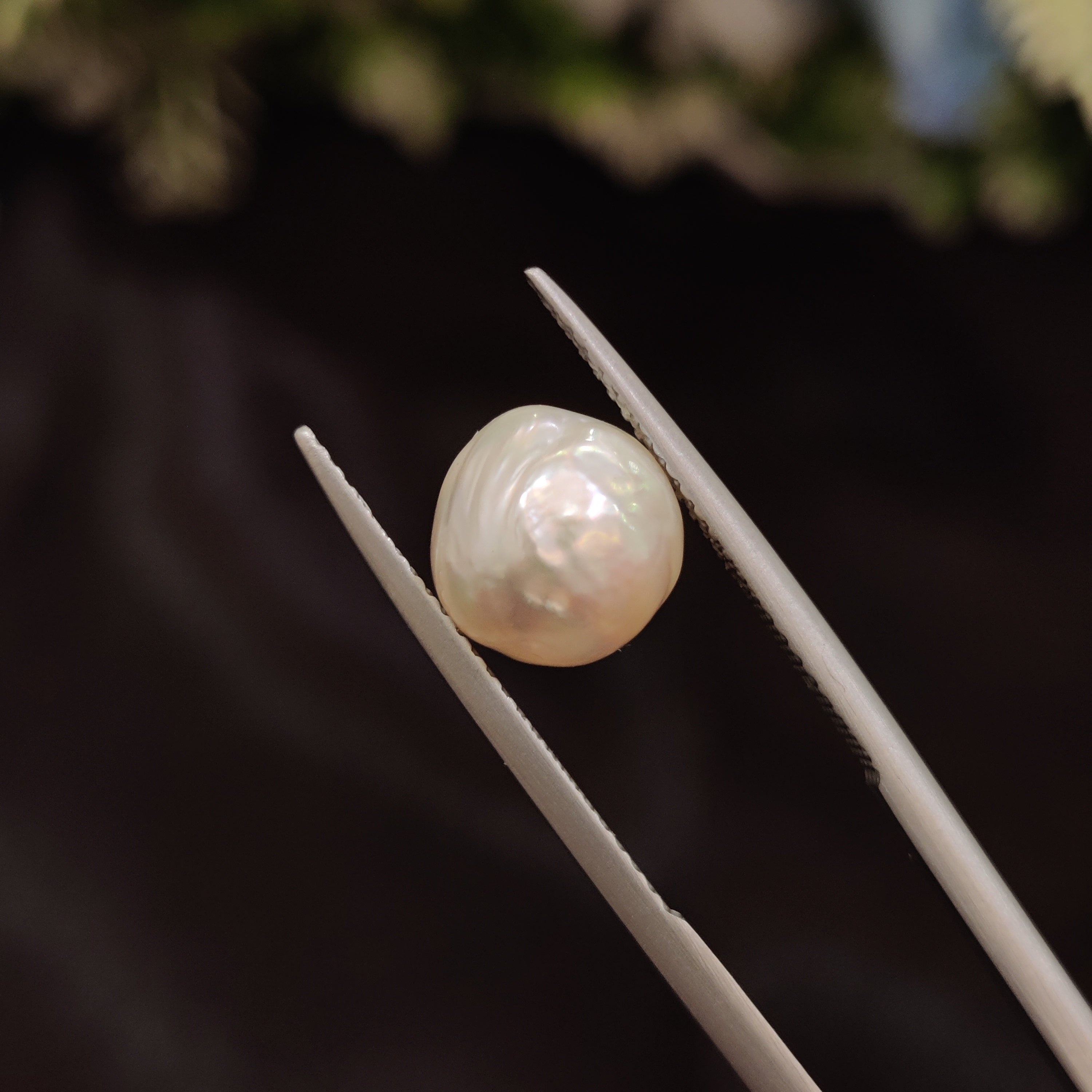 Pearl | Pearl 86 | 4.94 Carat