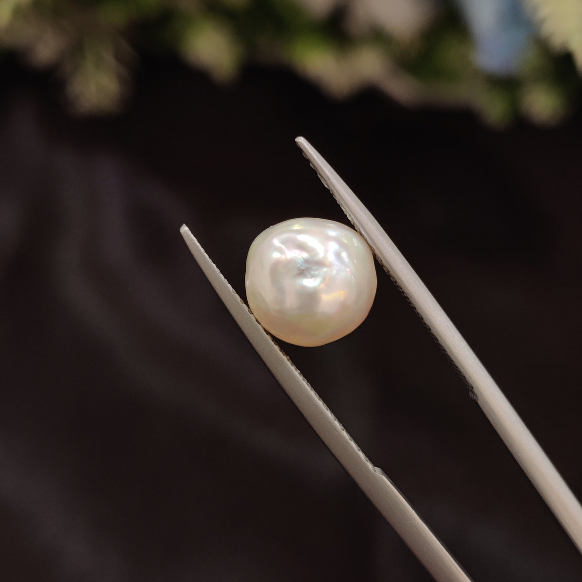 Natural Pearl (Moti) | Pearl 86 | 4.94 Carat | Certified