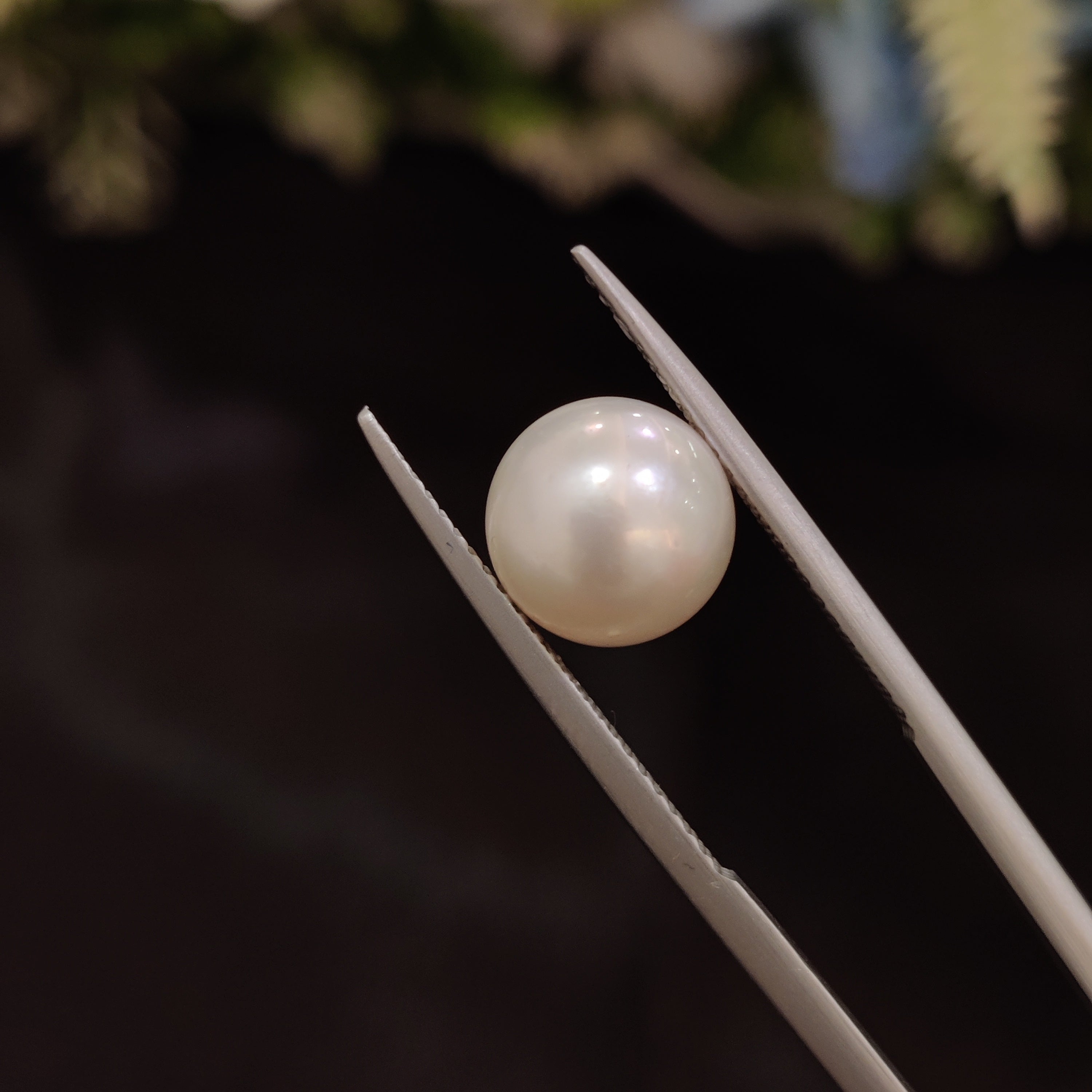 Pearl | Pearl 96 | 5.06 Carat
