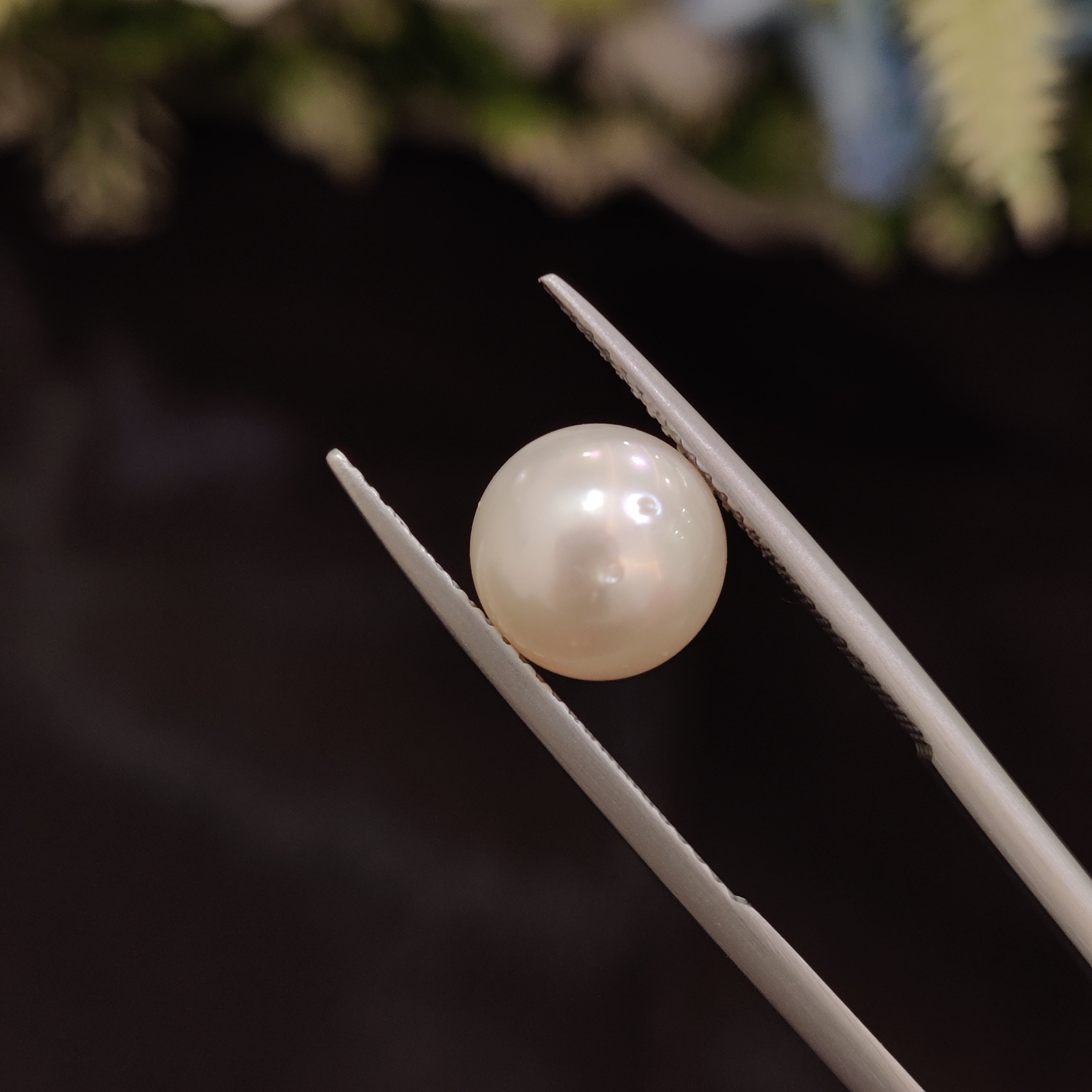 Pearl | Pearl 96 | 5.06 Carat