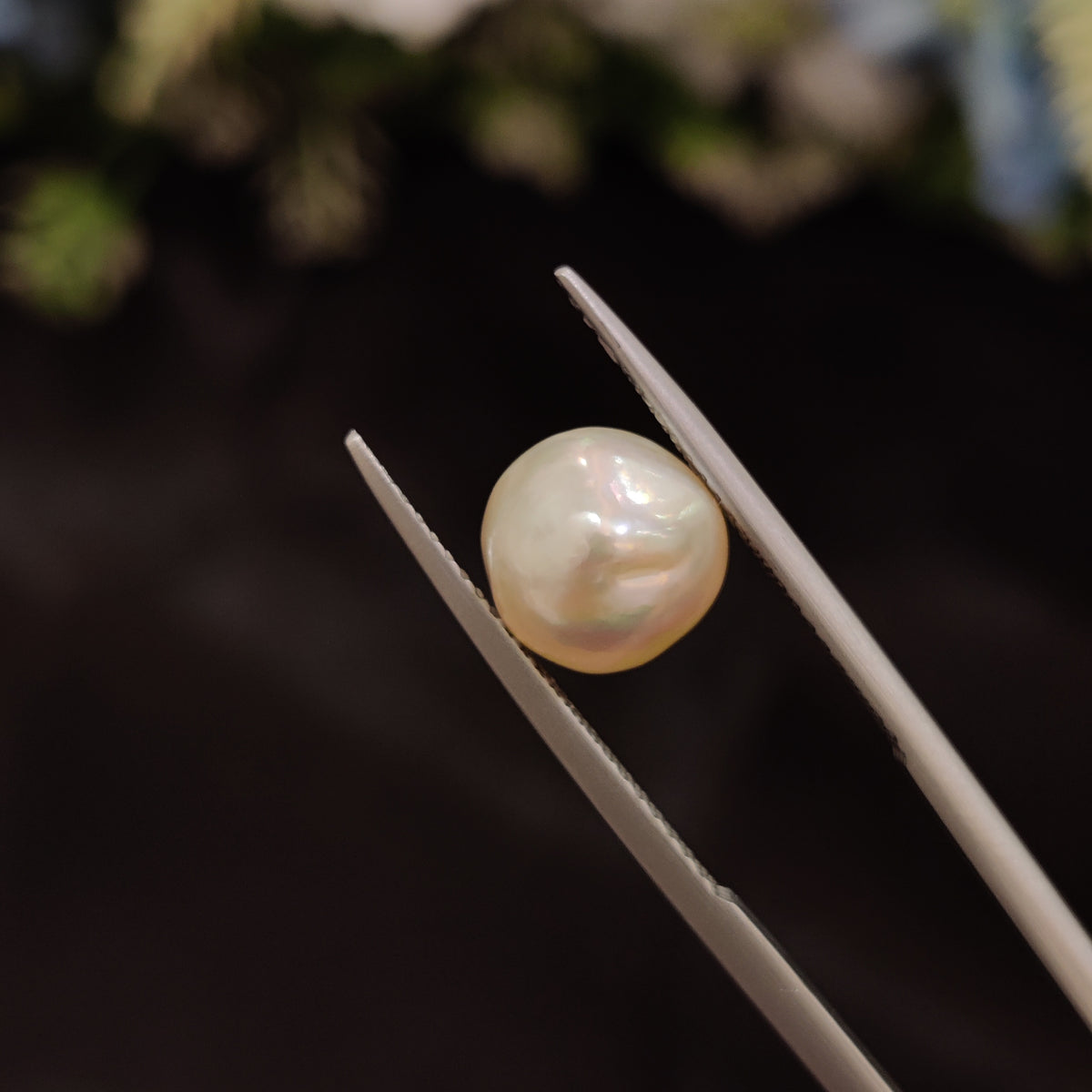 Natural Pearl (Moti) | Pearl 78 | 4.89 Carat | Certified