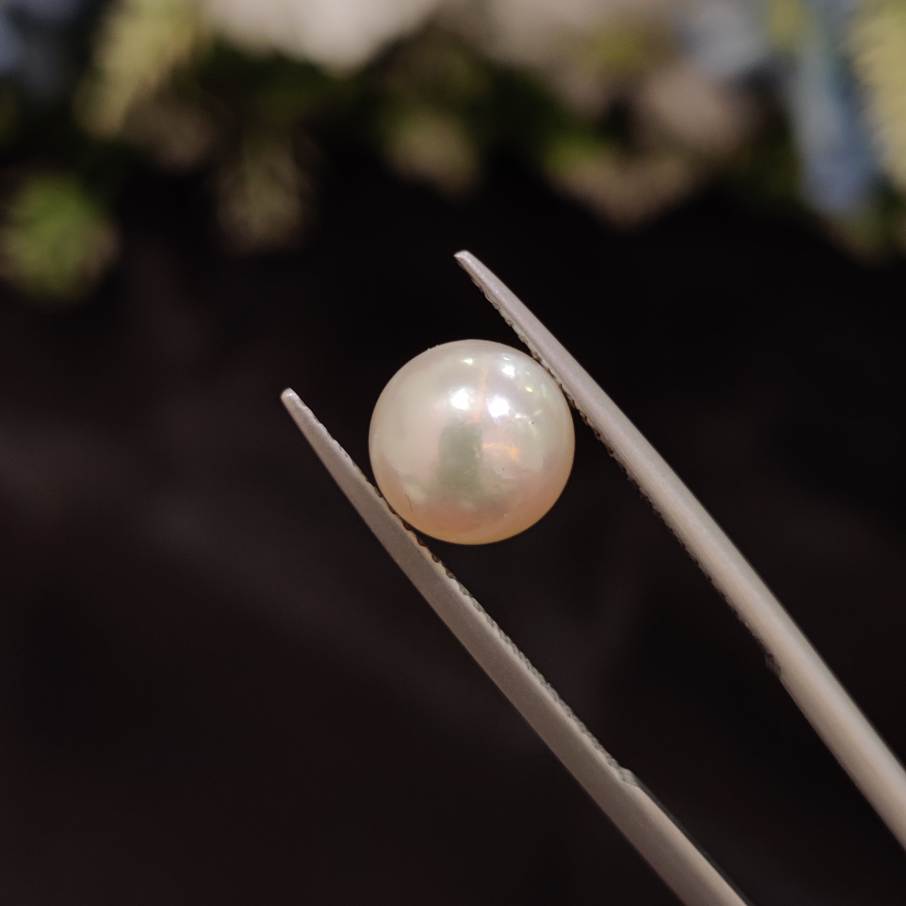 Pearl | Pearl 79 | 3.89 Carat