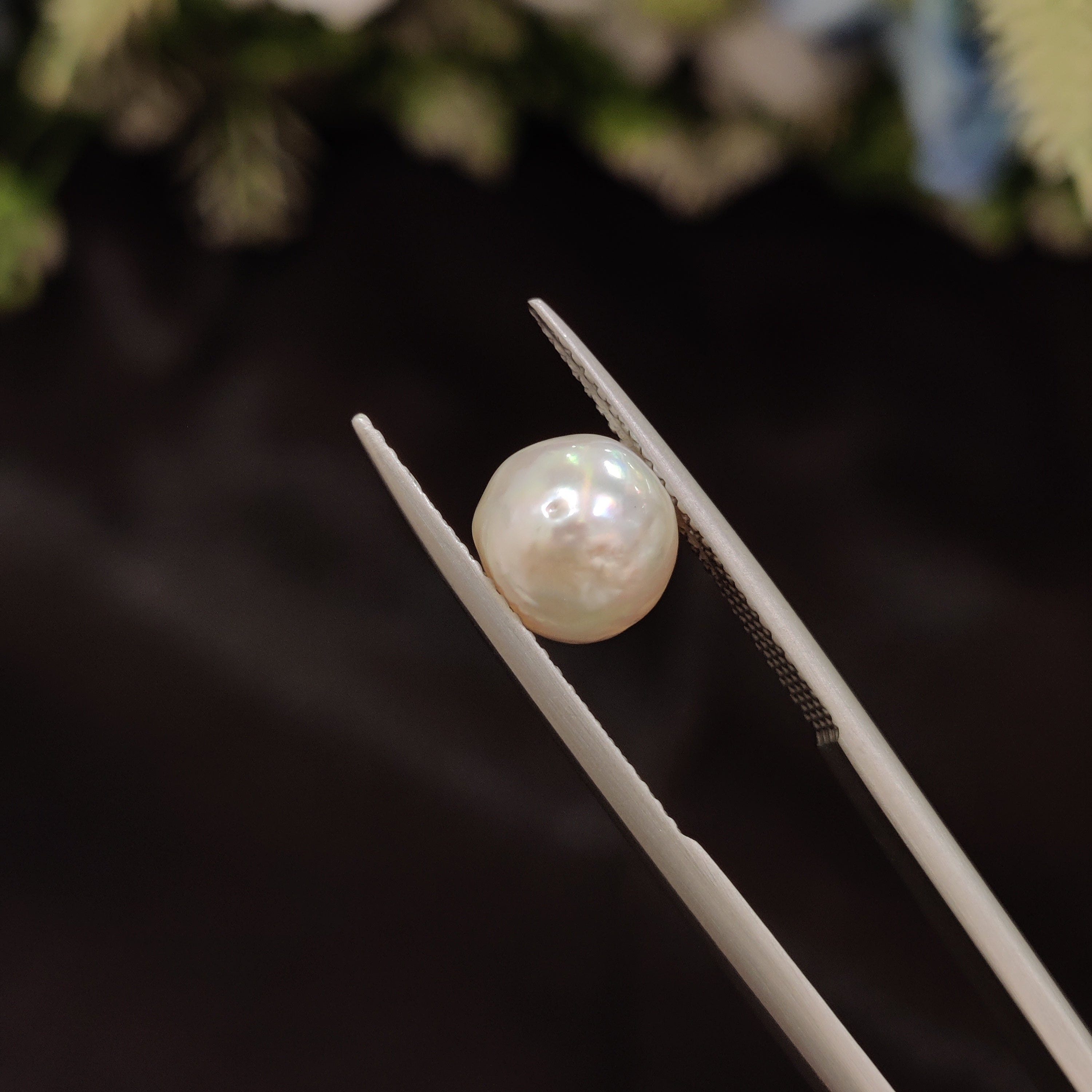 Pearl | Pearl 77 | 3.99 Carat