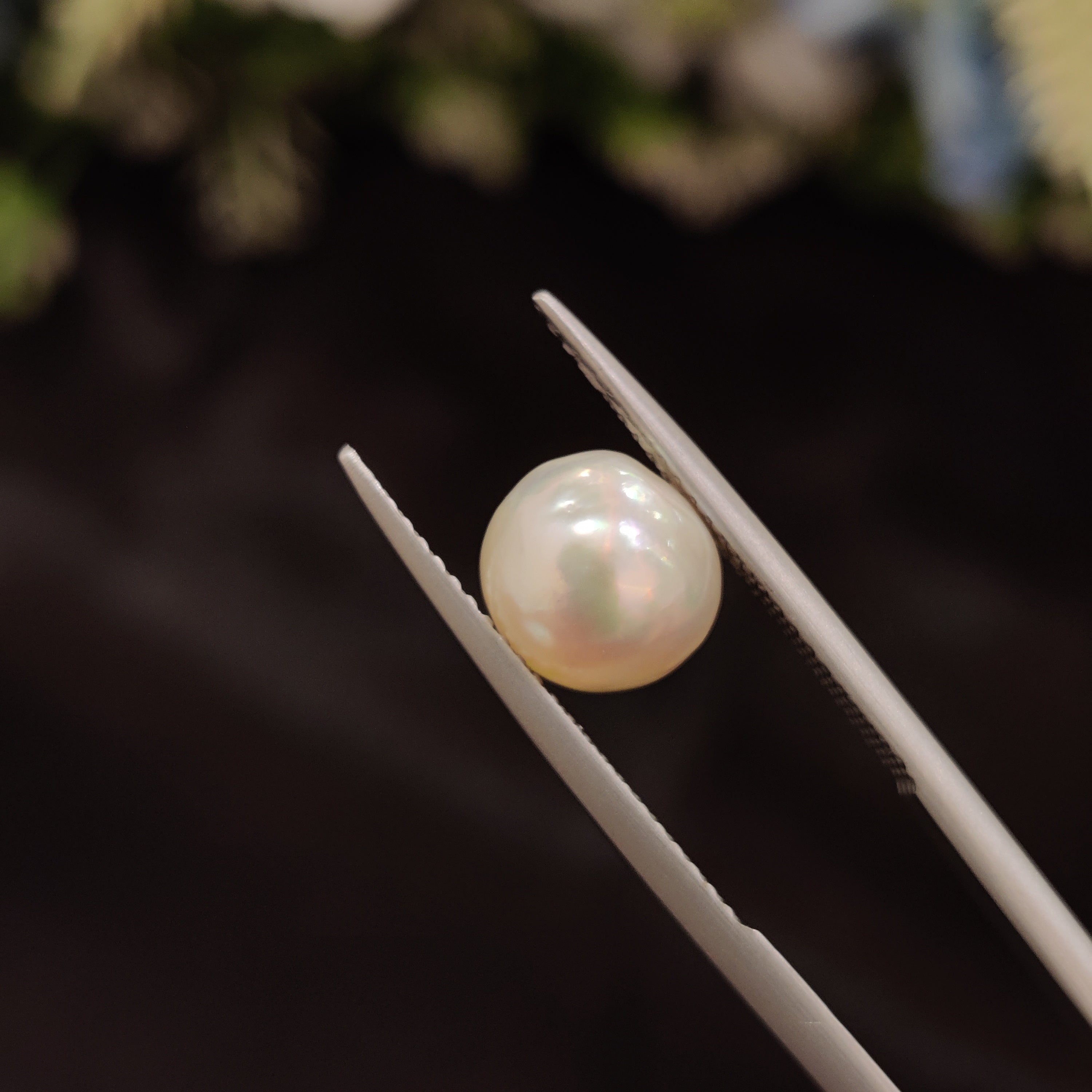 Pearl | Pearl 77 | 3.99 Carat