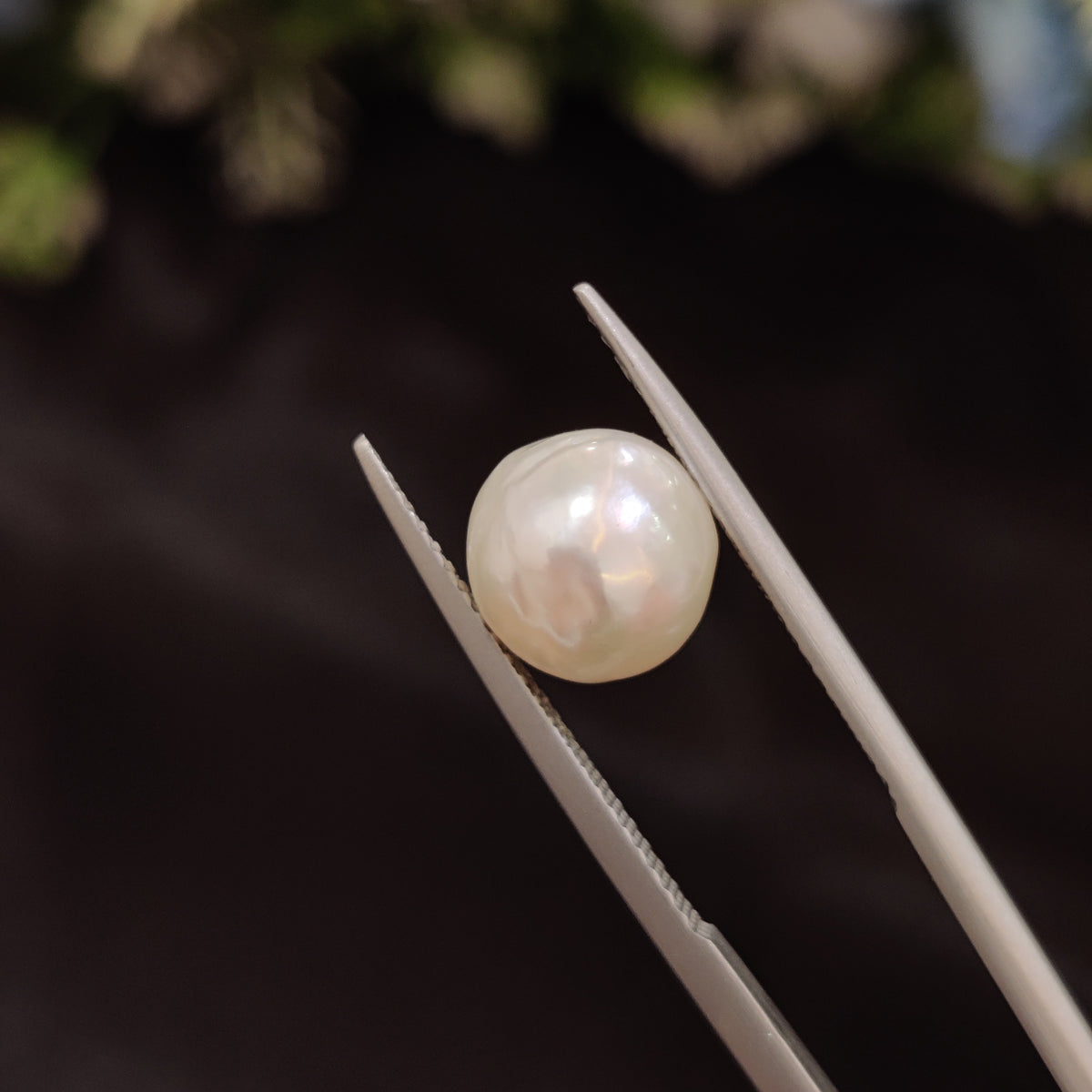 Natural Pearl (Moti) | Pearl 82 | 4.69 Carat | Certified