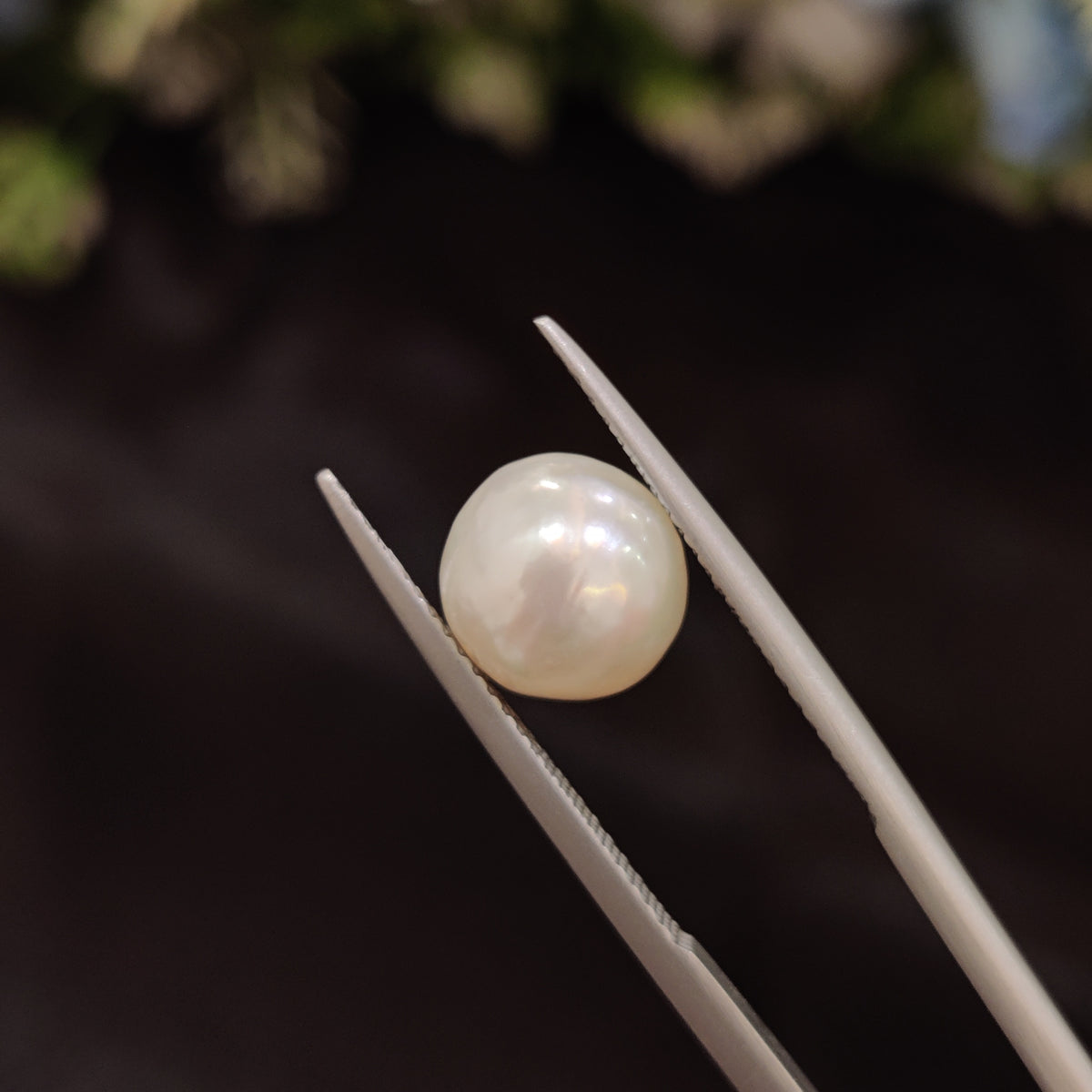 Natural Pearl (Moti) | Pearl 82 | 4.69 Carat | Certified