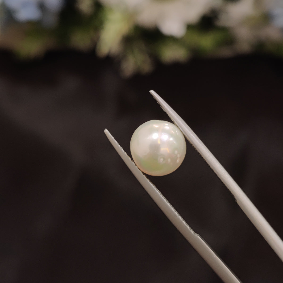 Natural Pearl (Moti) | Pearl 66 | 4.65 Carat | Certified