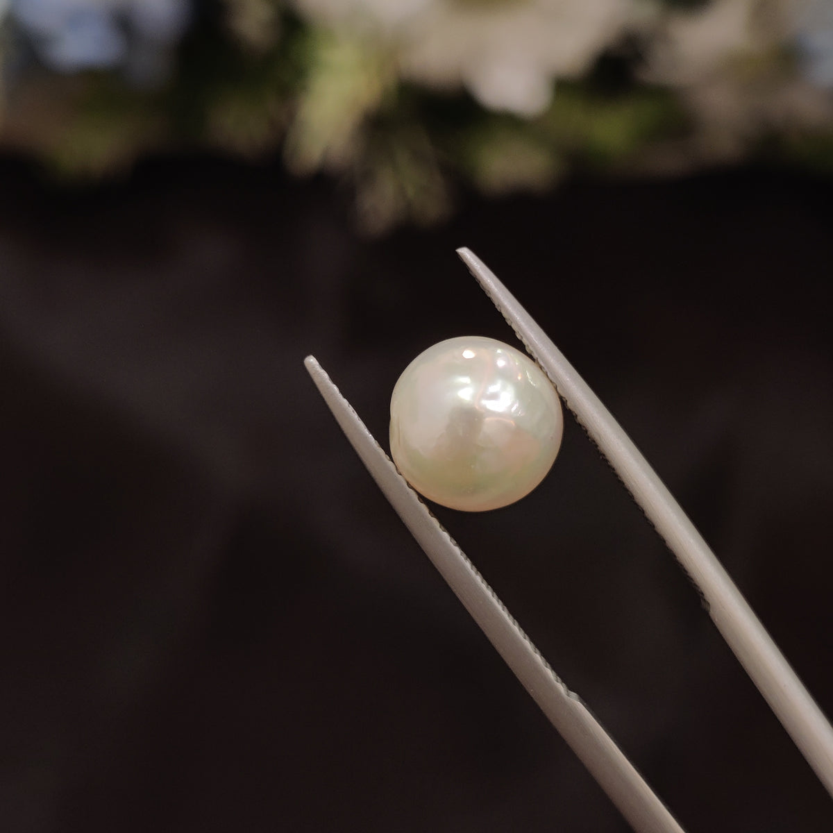 Natural Pearl (Moti) | Pearl 66 | 4.65 Carat | Certified