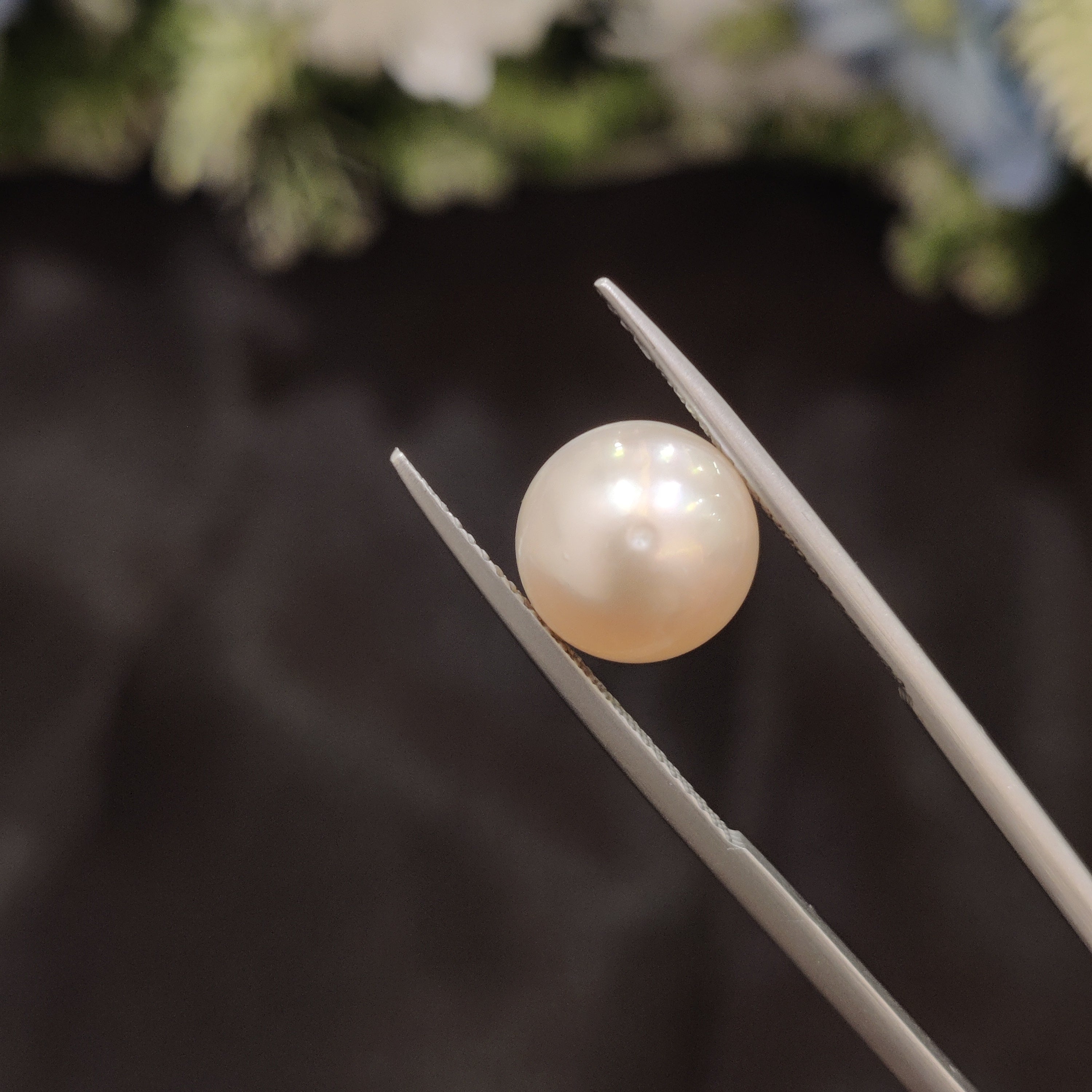 Pearl | Pearl 109 | 5.93 Carat