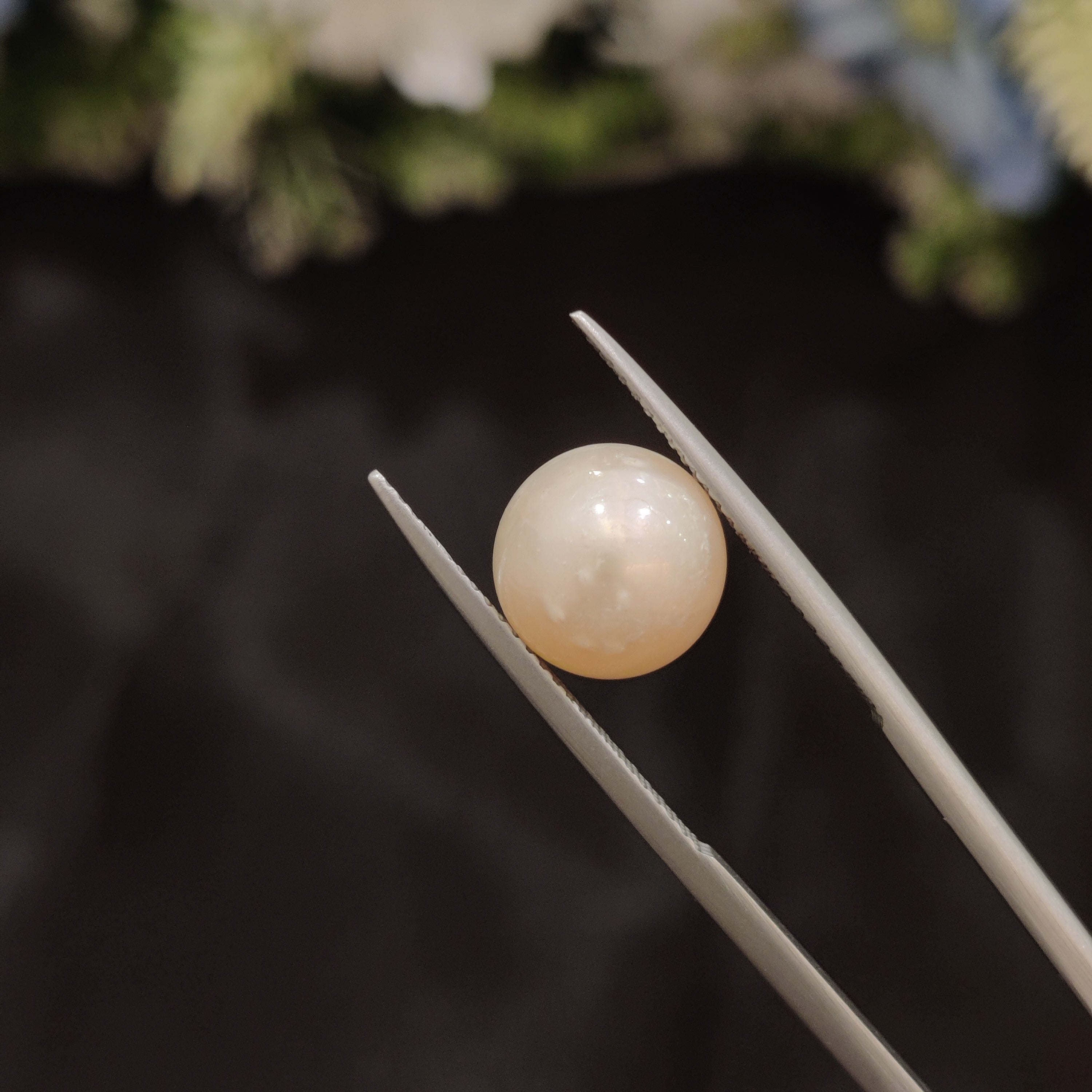 Pearl | Pearl 109 | 5.93 Carat