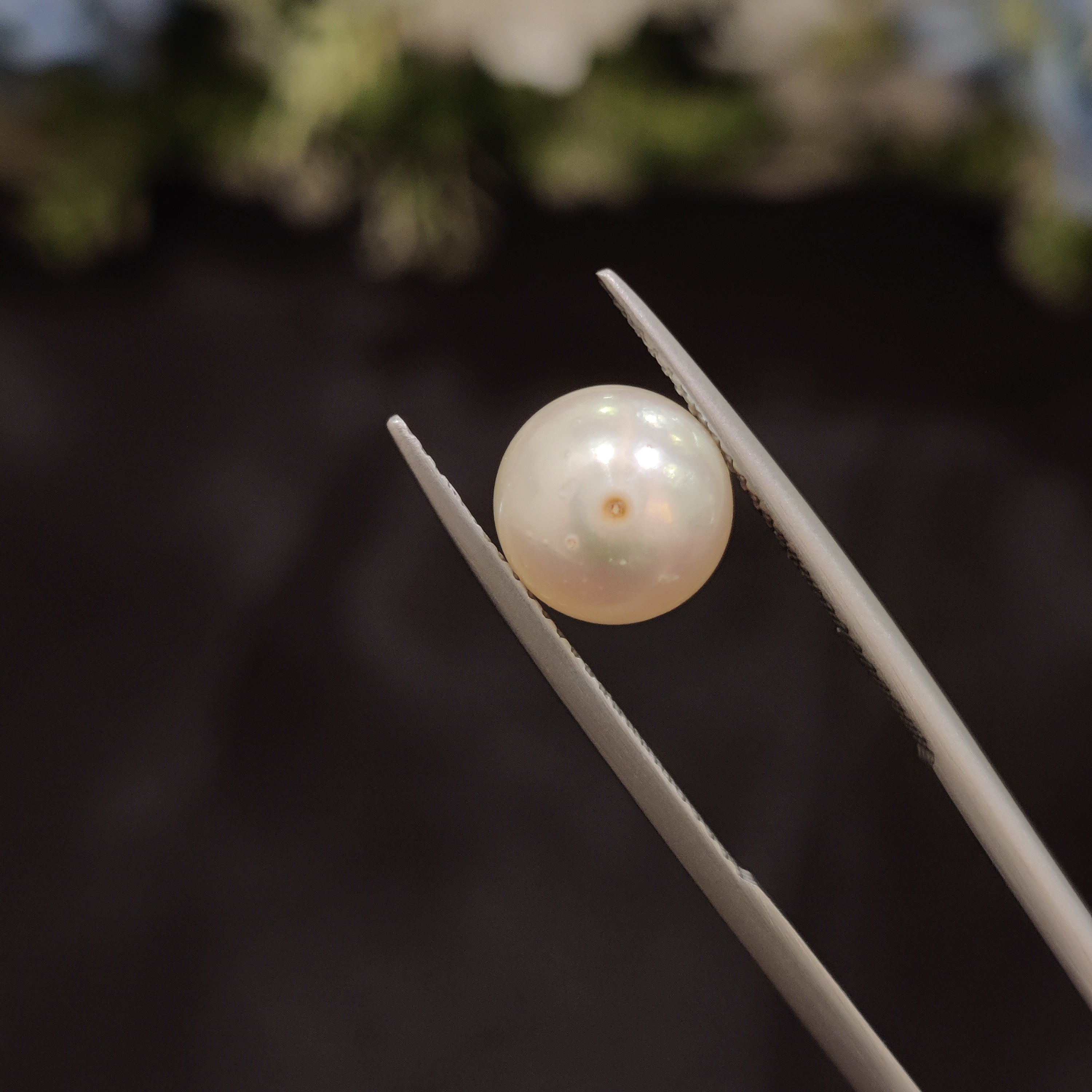 Pearl | Pearl 52 | 4.76 Carat