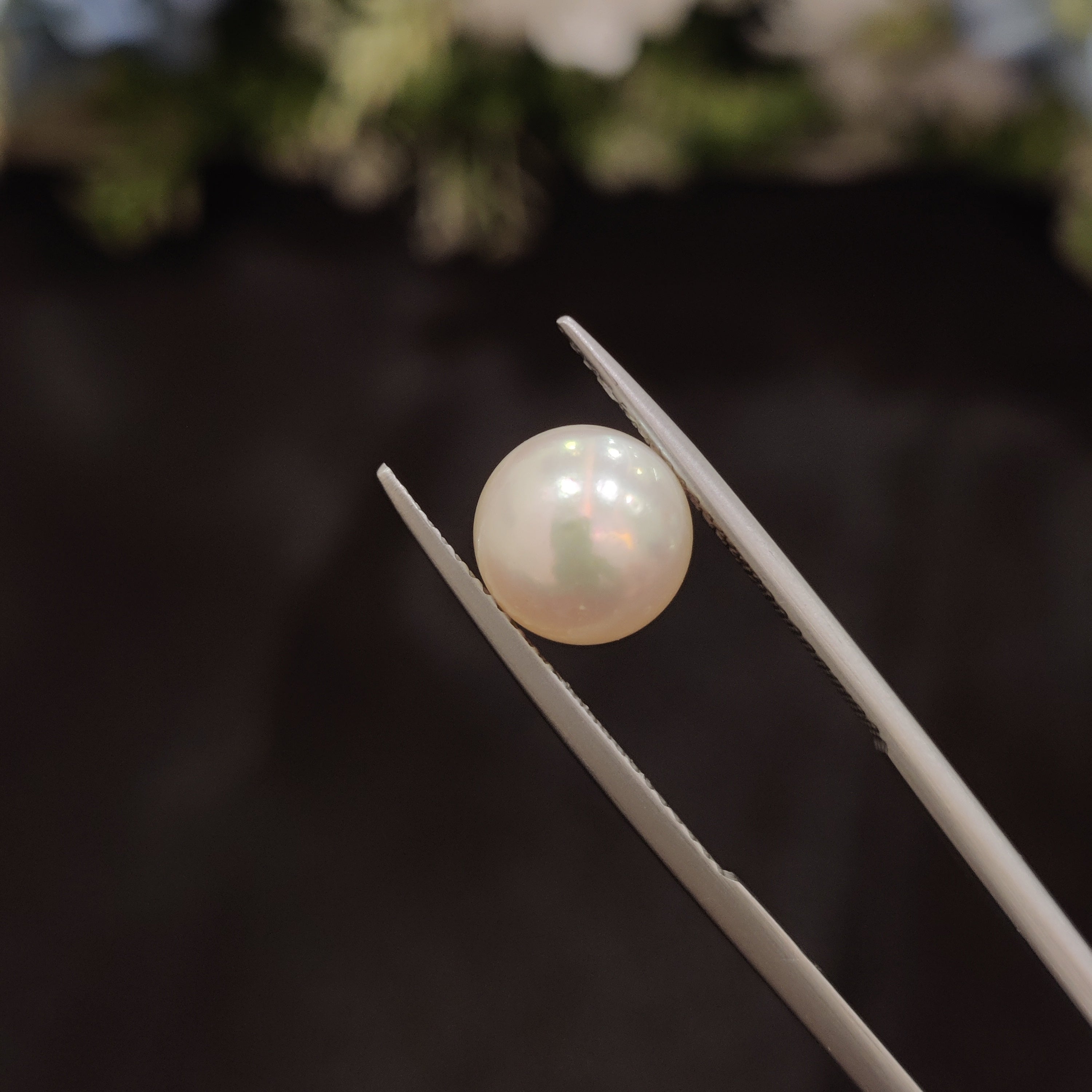 Pearl | Pearl 52 | 4.76 Carat