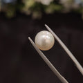 Pearl | Pearl 72 | 4.18 Carat