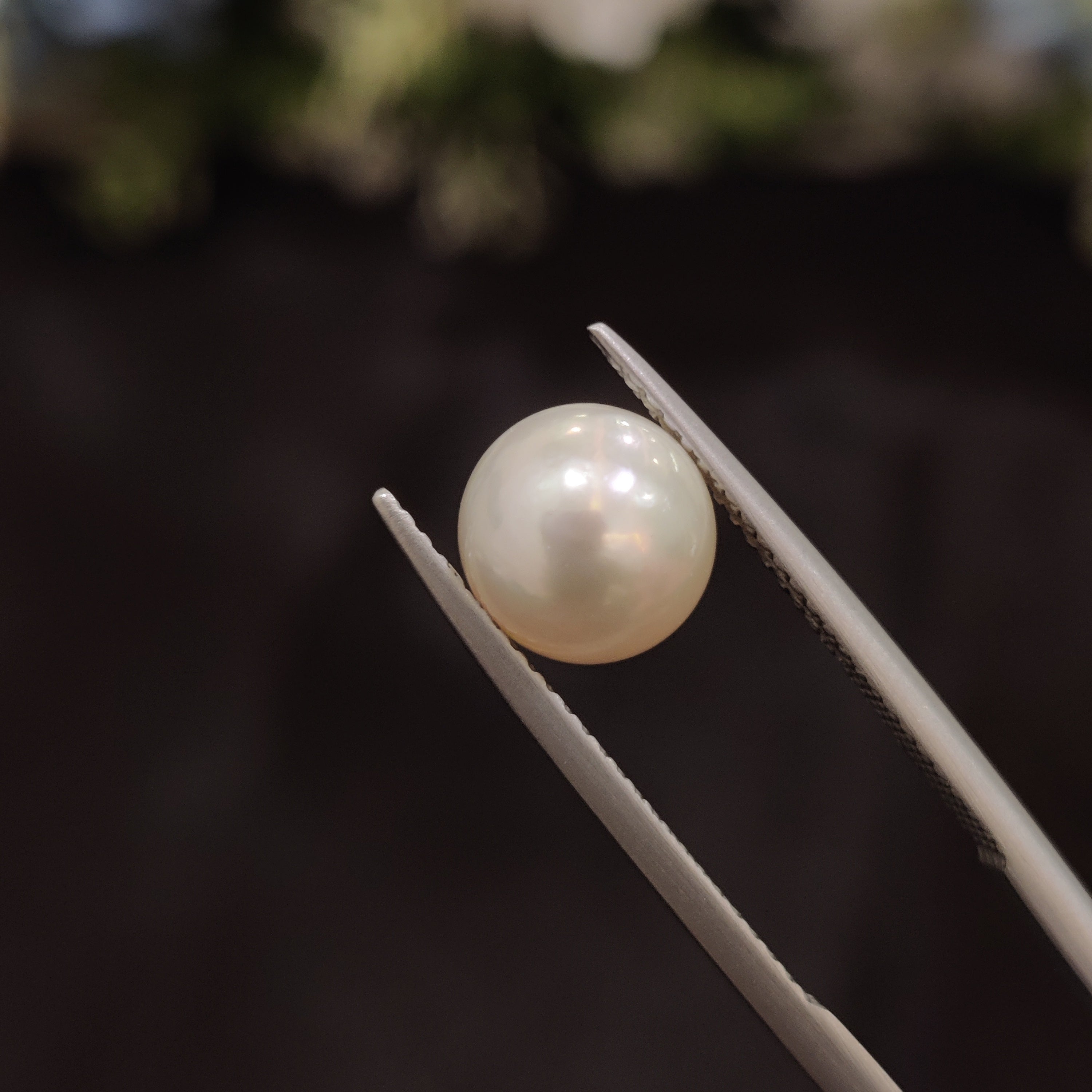 Pearl | Pearl 72 | 4.18 Carat