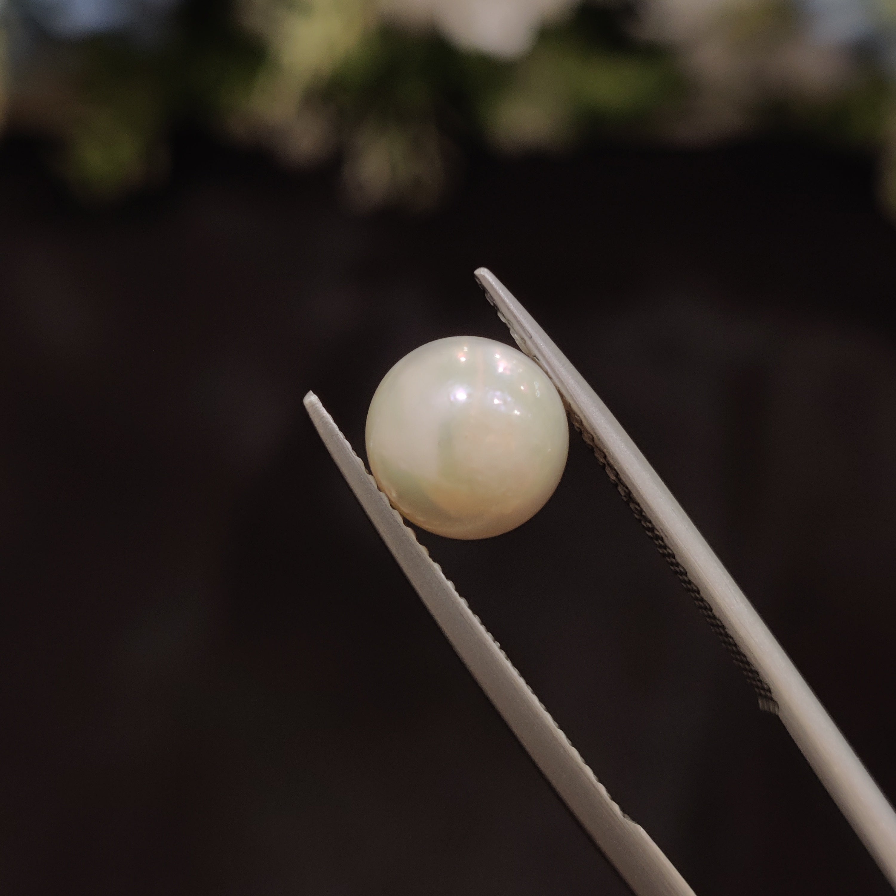Pearl | Pearl 72 | 4.18 Carat